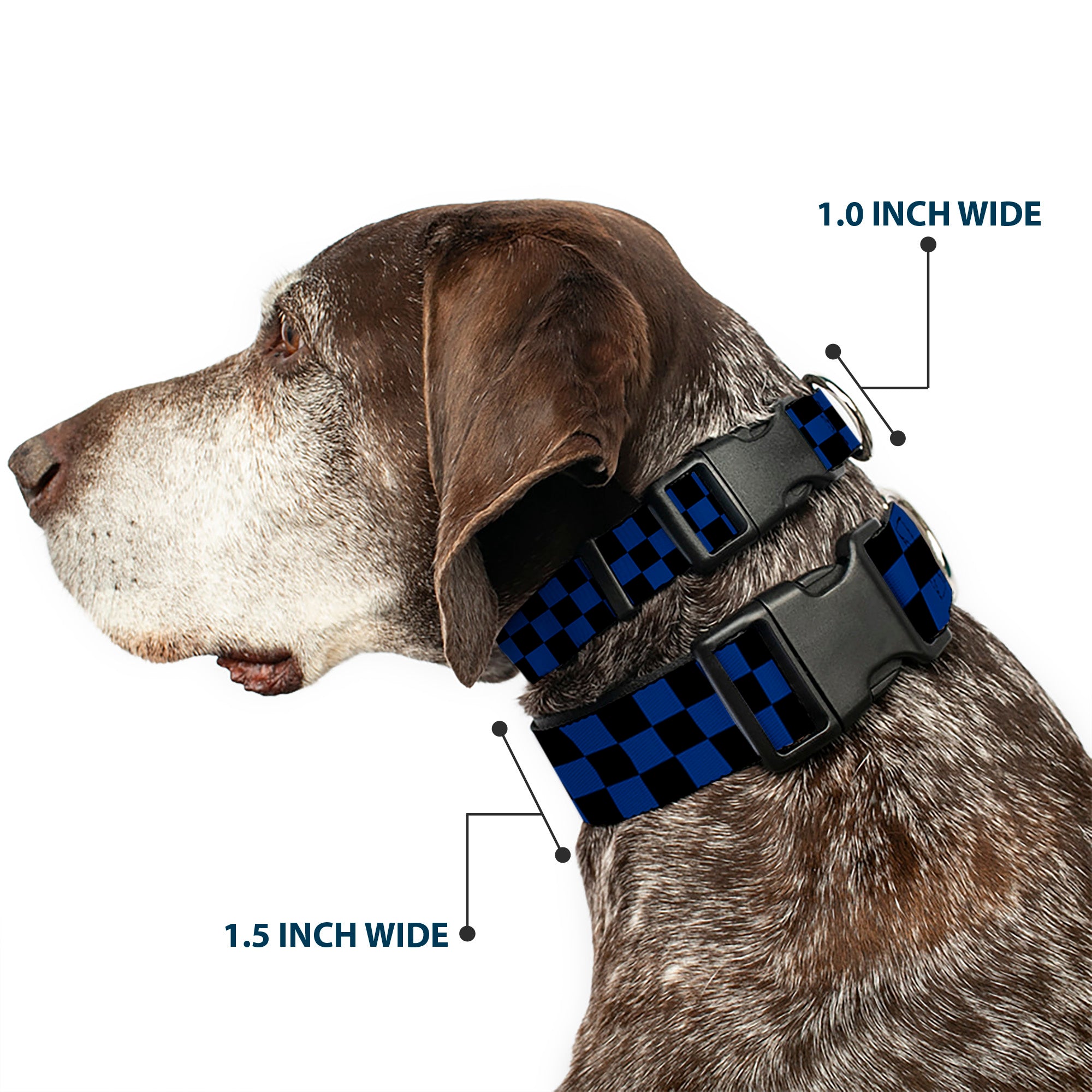 Plastic Clip Collar - Checker Black/Royal 288C Plastic Clip Collars Buckle-Down