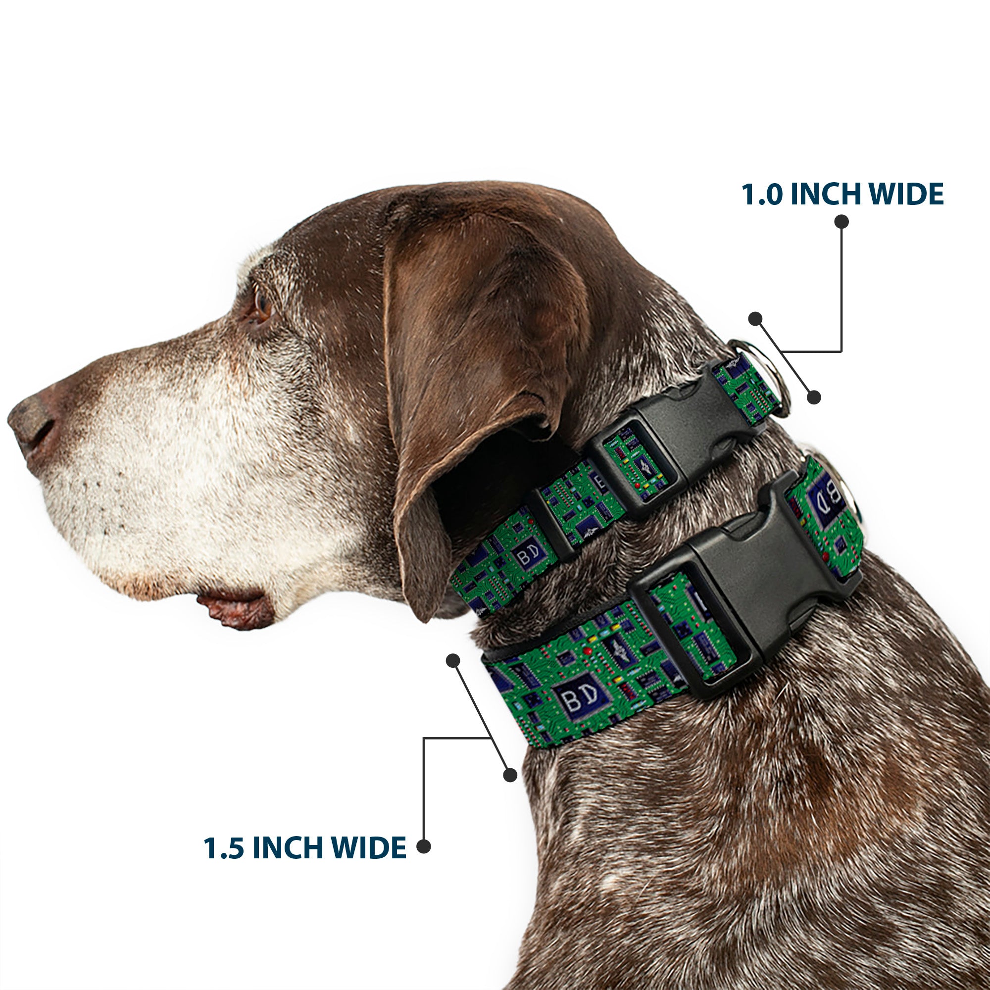 Plastic Clip Collar - Circuit Board Plastic Clip Collars Buckle-Down