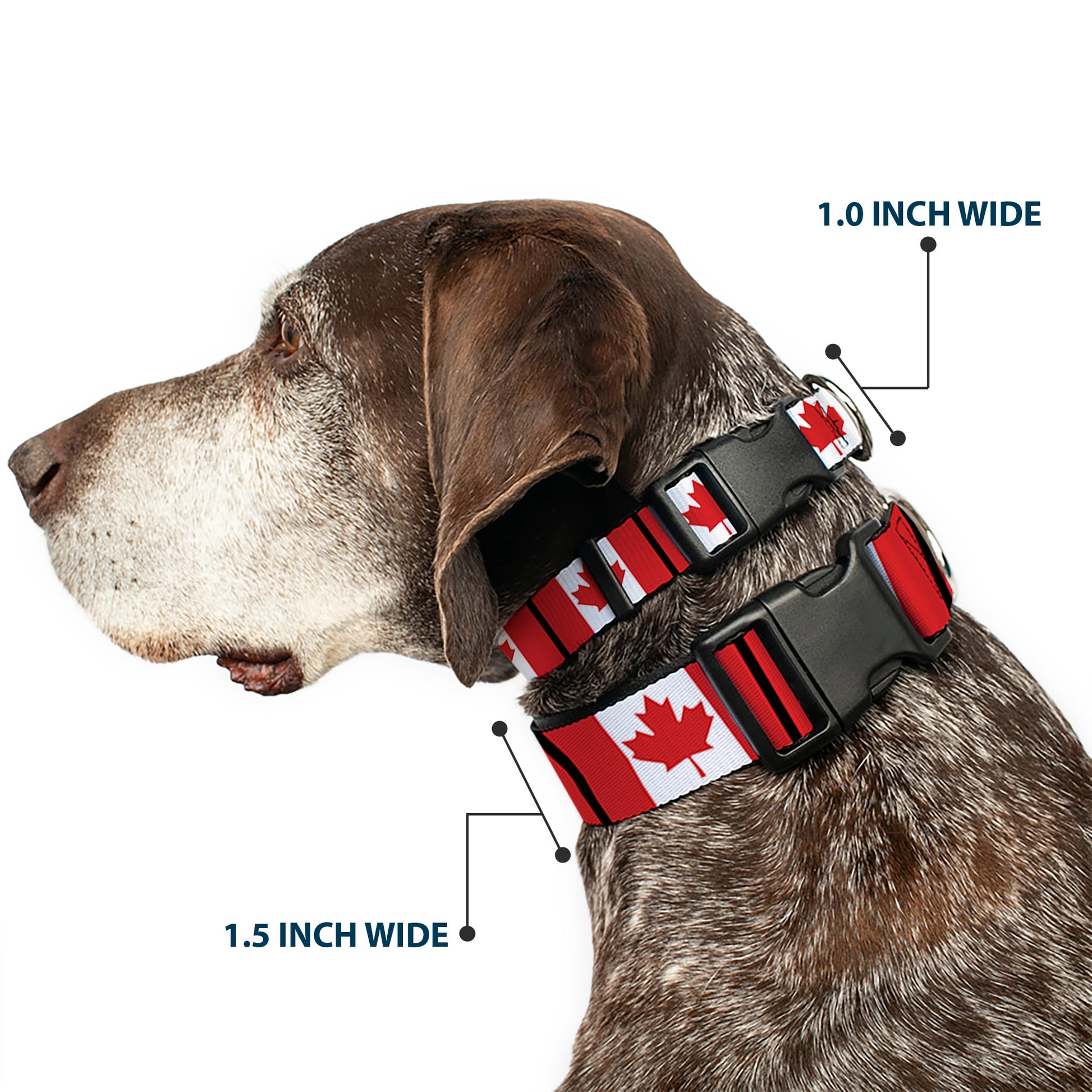 Plastic Clip Collar - Canada Flags Plastic Clip Collars Buckle-Down