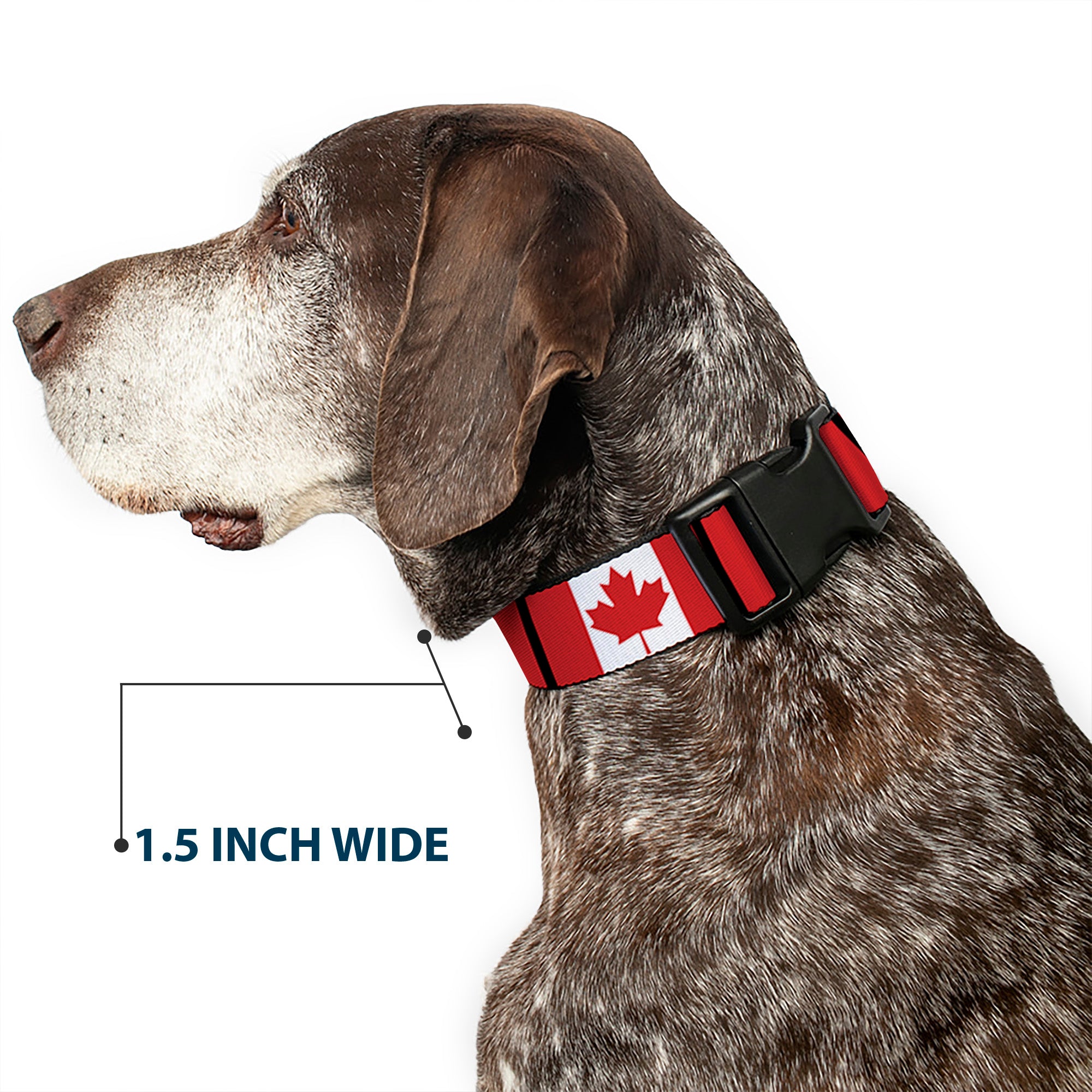 Plastic Clip Collar - Canada Flags Plastic Clip Collars Buckle-Down
