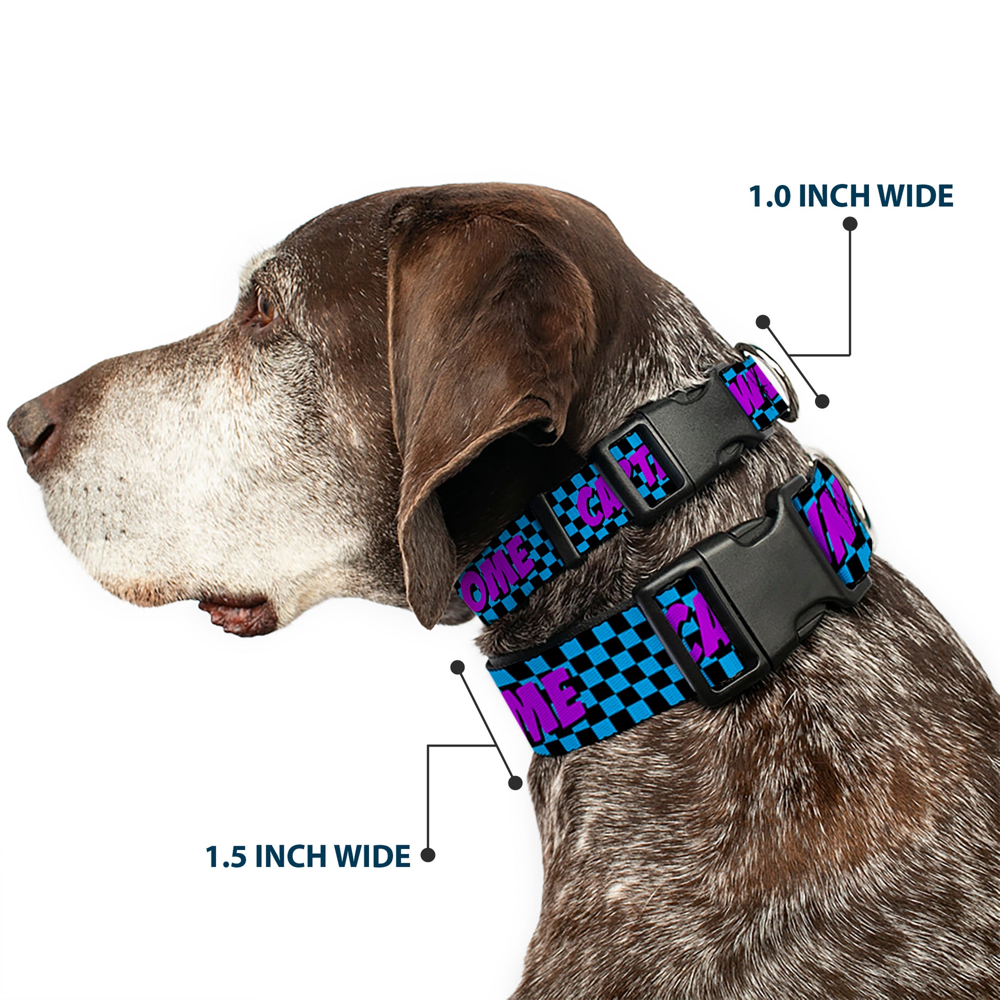 Plastic Clip Collar - CAPTAIN AWESOME Turquoise Checker/Fuchsia Plastic Clip Collars Buckle-Down