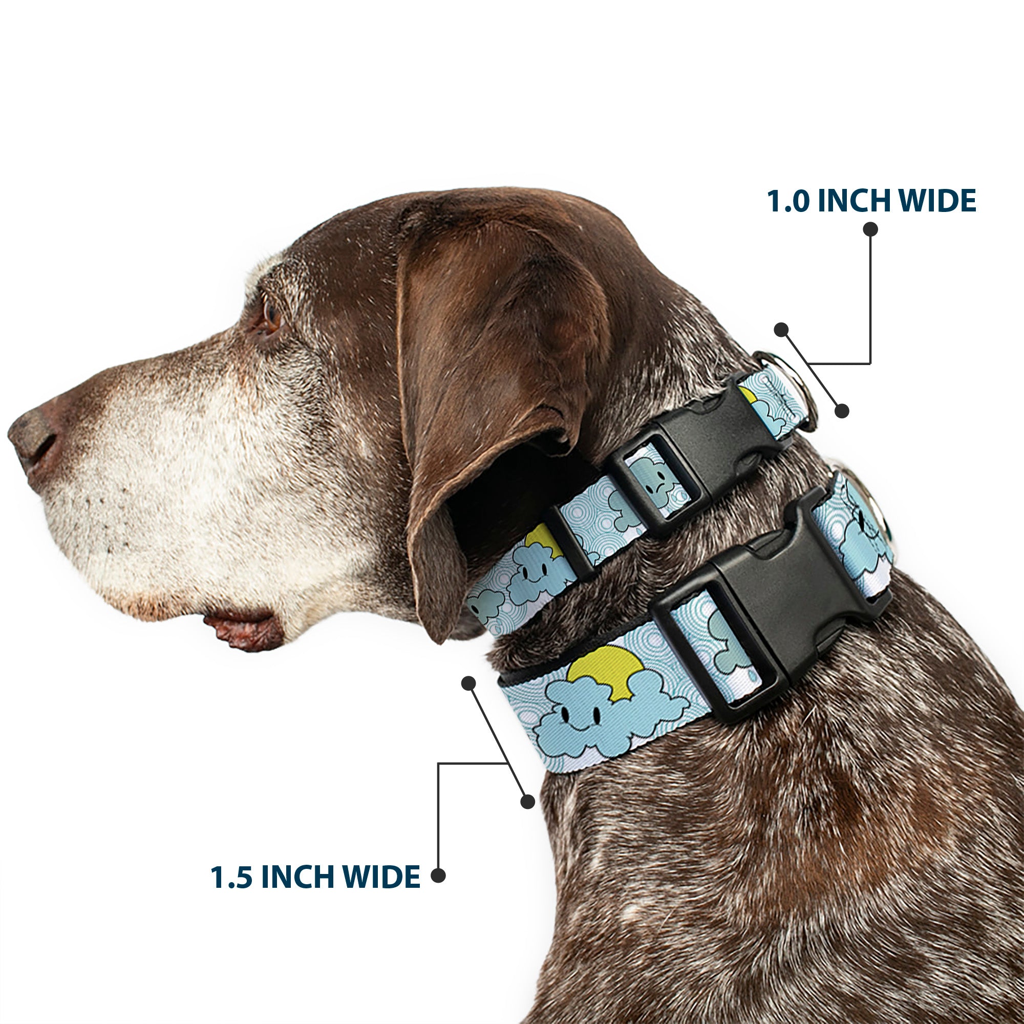 Plastic Clip Collar - Cloudy Skies Rain Clouds White/Blues Plastic Clip Collars Buckle-Down