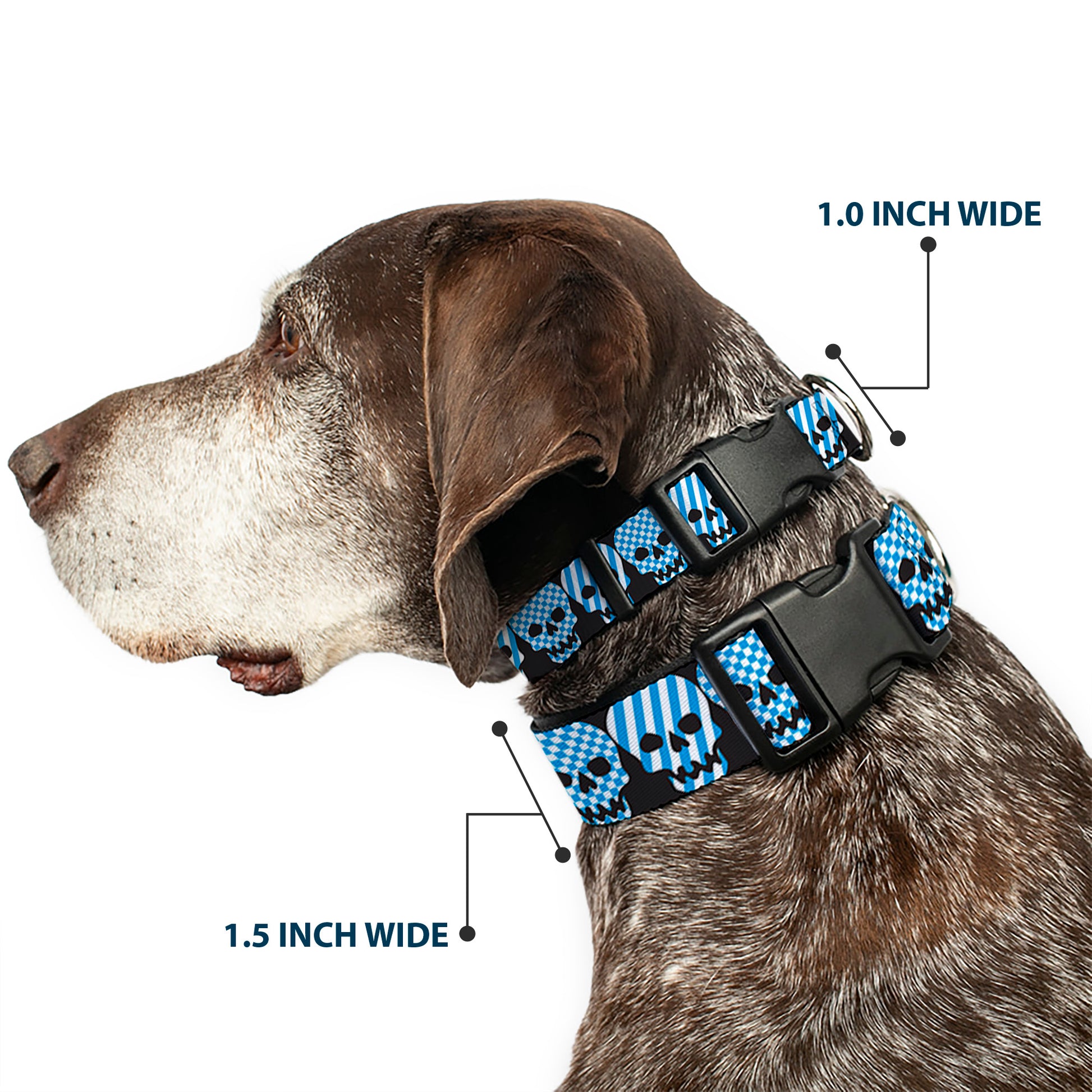 Plastic Clip Collar - Checker & Stripe Skulls Black/White/Baby Blue Plastic Clip Collars Buckle-Down