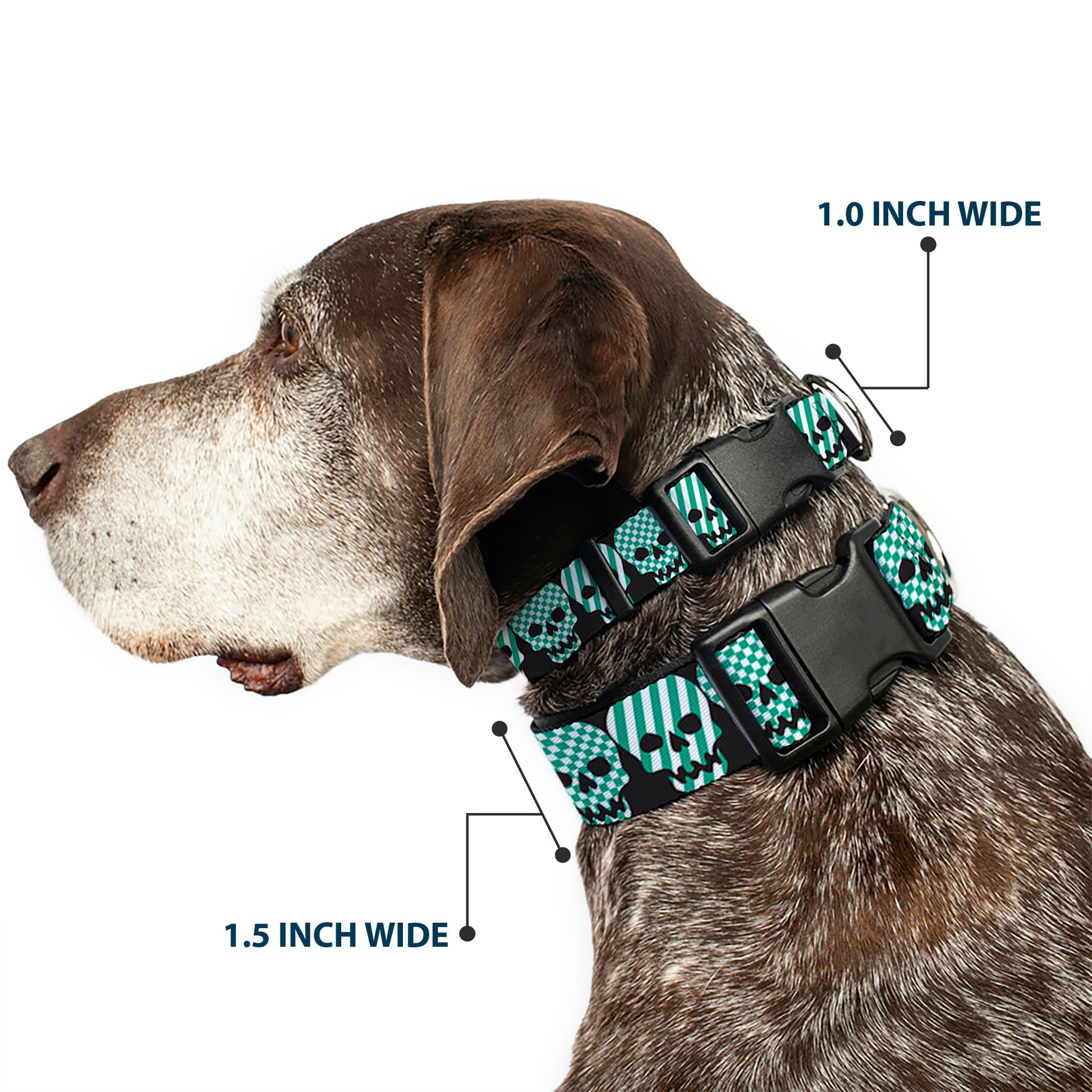 Plastic Clip Collar - Checker & Stripe Skulls Black/White/Green Plastic Clip Collars Buckle-Down