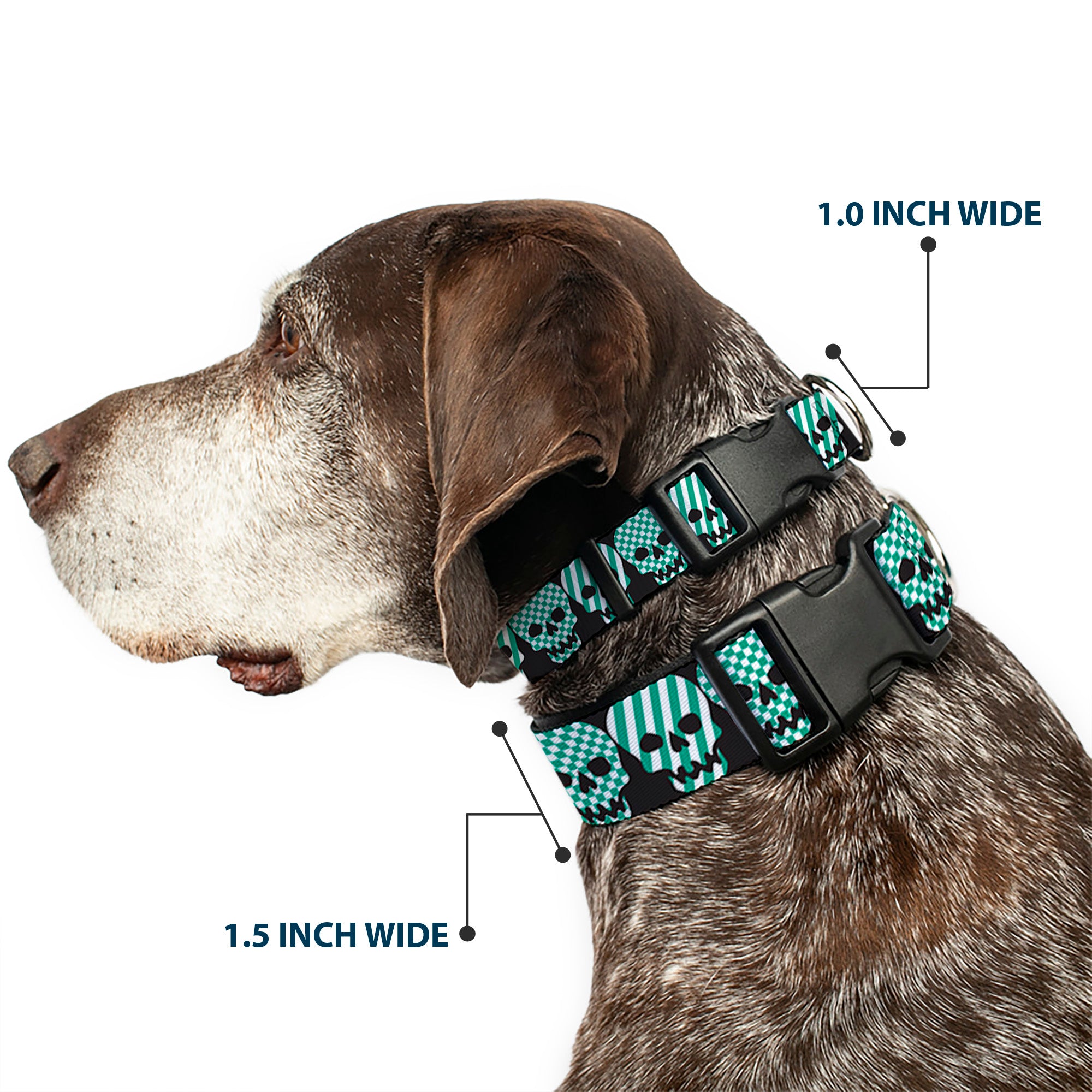 Plastic Clip Collar - Checker & Stripe Skulls Black/White/Green Plastic Clip Collars Buckle-Down