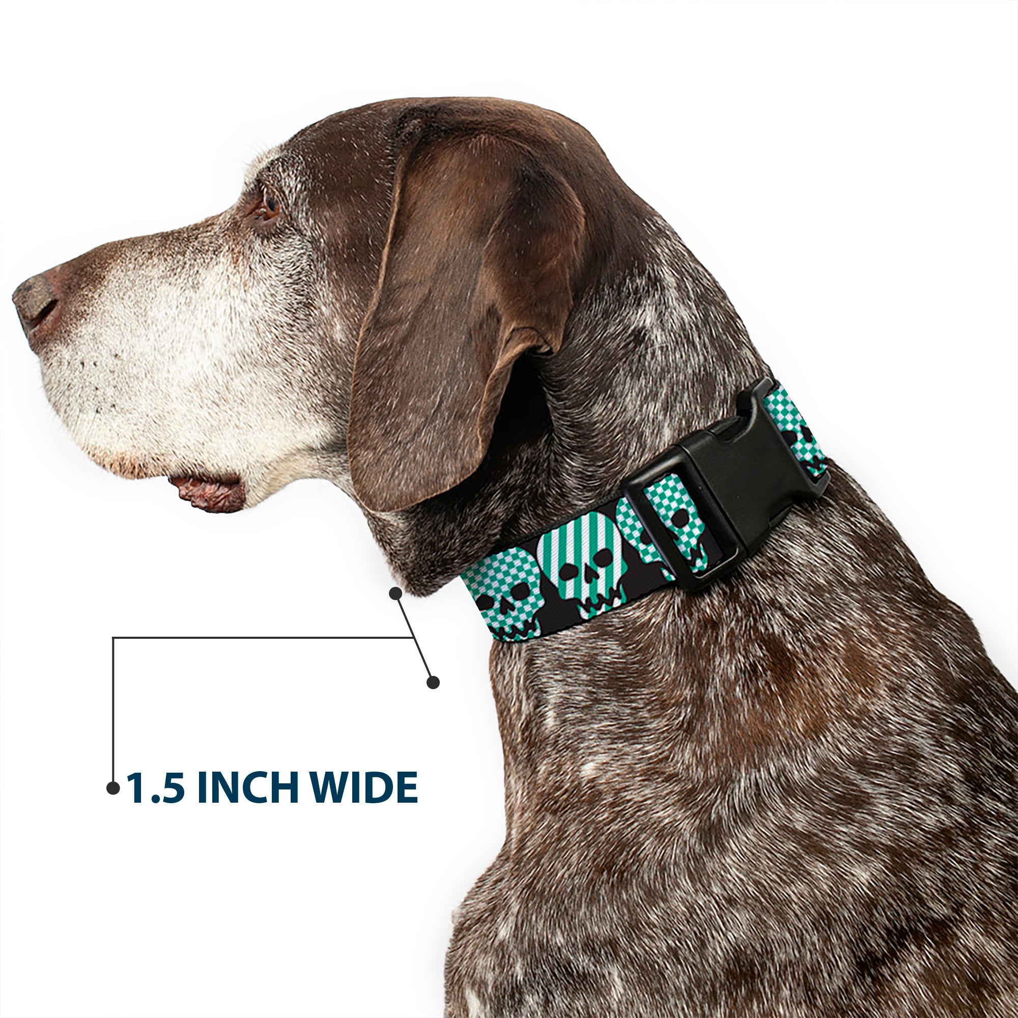 Plastic Clip Collar - Checker & Stripe Skulls Black/White/Green Plastic Clip Collars Buckle-Down