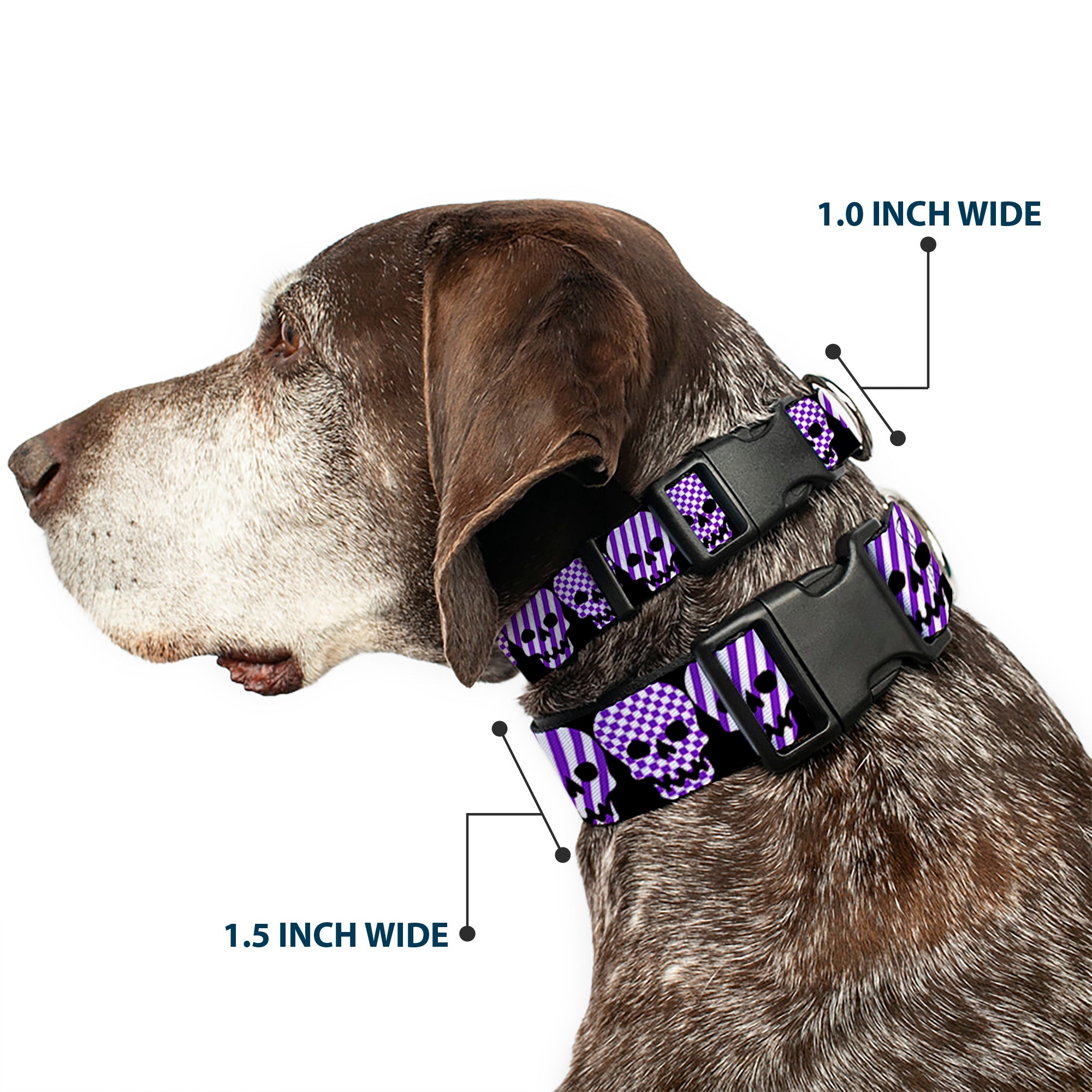 Plastic Clip Collar - Checker & Stripe Skulls Black/White/Purple Plastic Clip Collars Buckle-Down