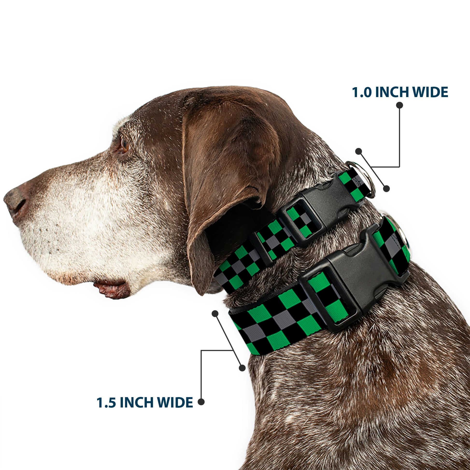 Plastic Clip Collar - Checker Black/Gray/2 Green Plastic Clip Collars Buckle-Down
