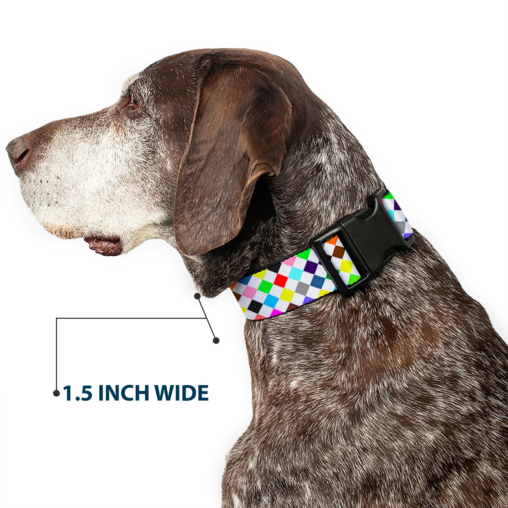 Plastic Clip Collar - Diamonds White/Multi Color Plastic Clip Collars Buckle-Down