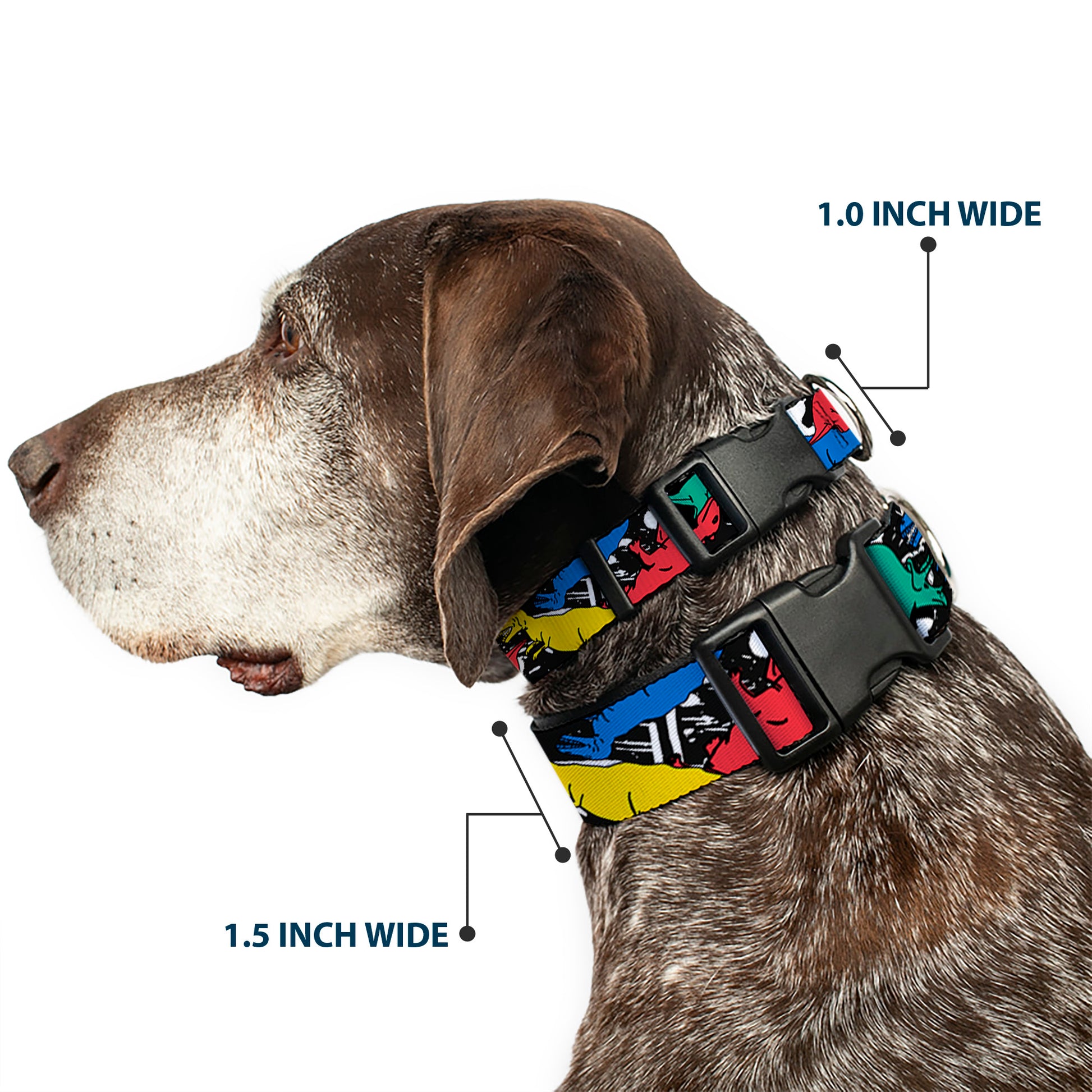 Plastic Clip Collar - Dinosaurs/Paint Splatter Black/White/Multi Color Plastic Clip Collars Buckle-Down