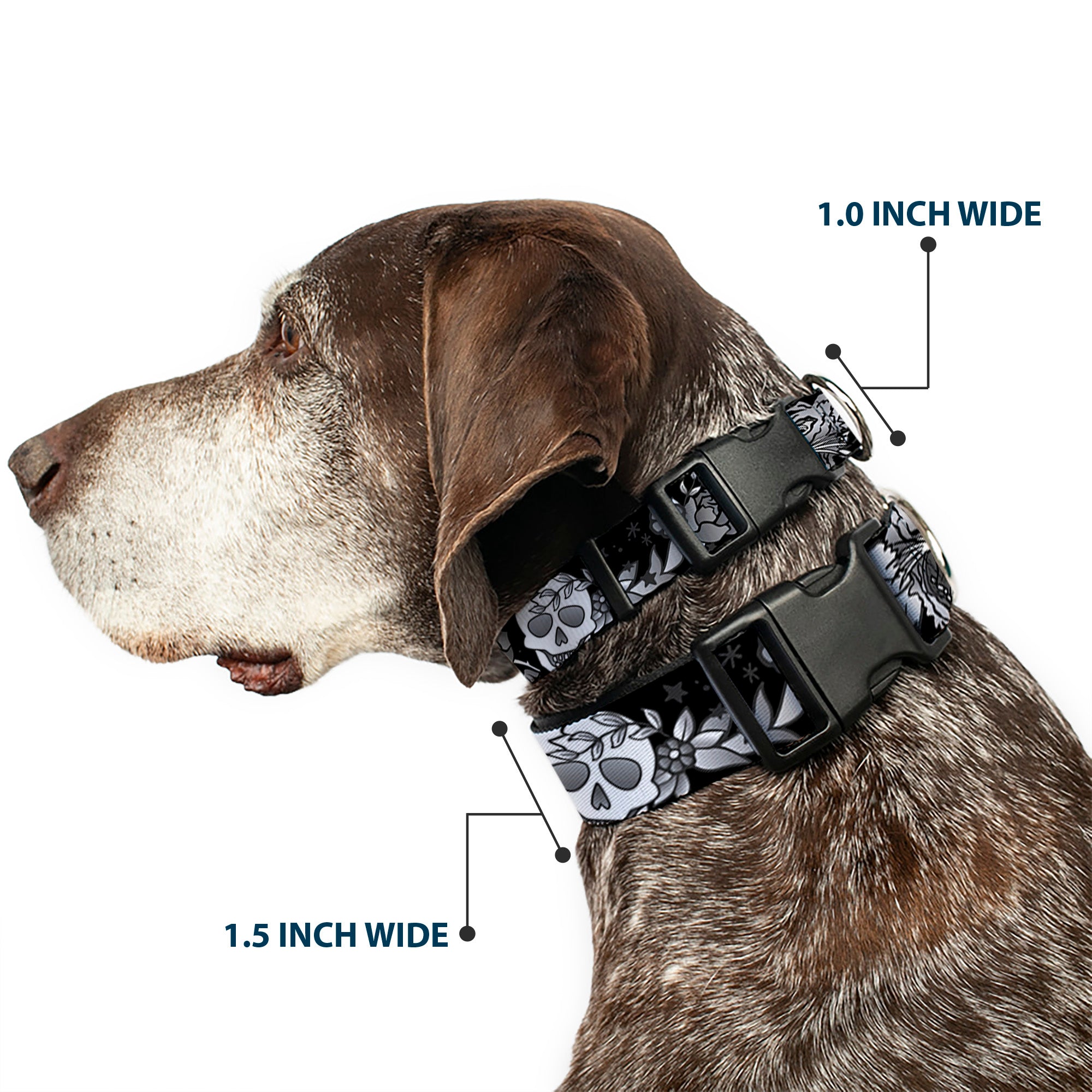 Plastic Clip Collar - Death Before Dishonor Black/White Plastic Clip Collars Buckle-Down
