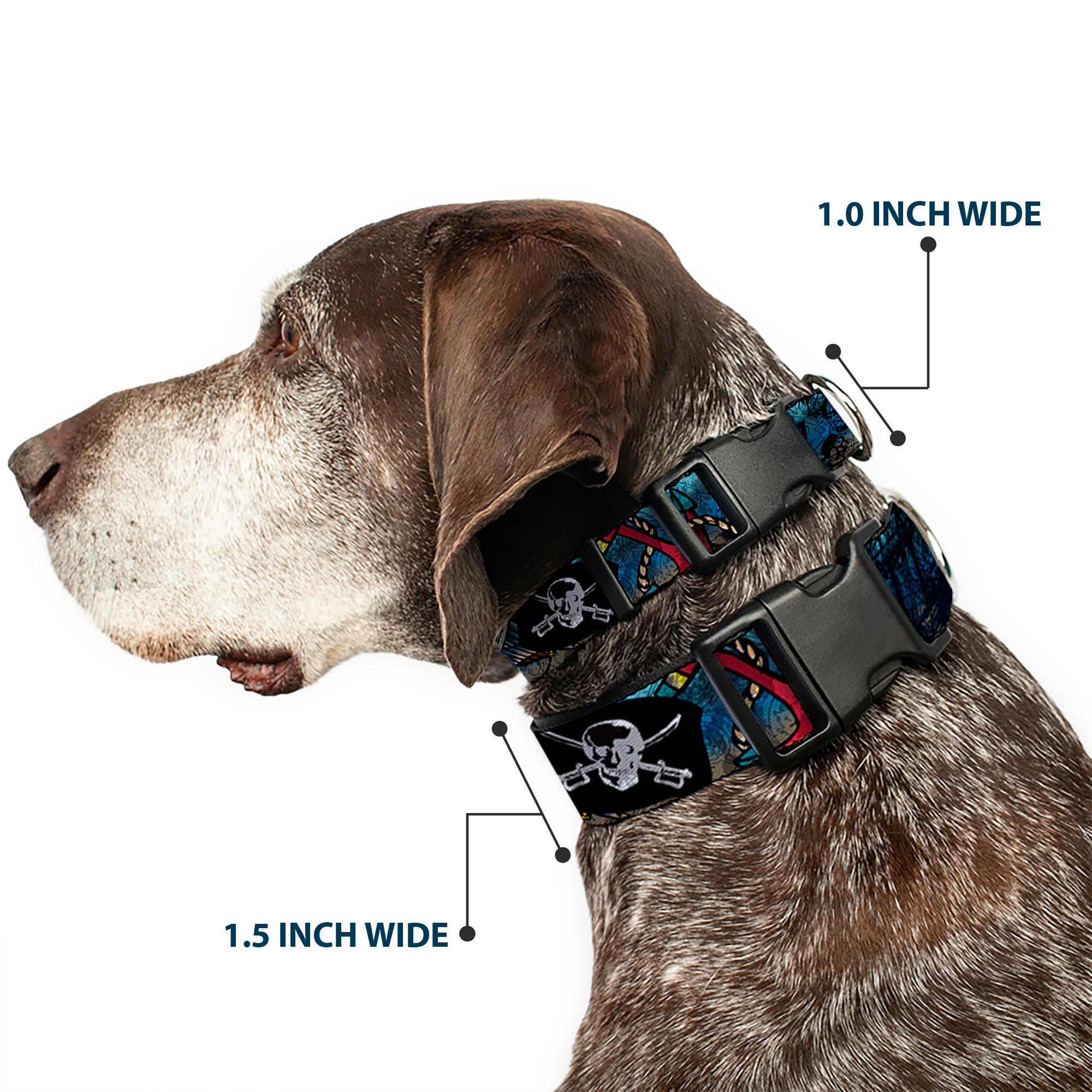 Plastic Clip Collar - Dead Men Tell No Tales CLOSE-UP Turquoise Plastic Clip Collars Buckle-Down