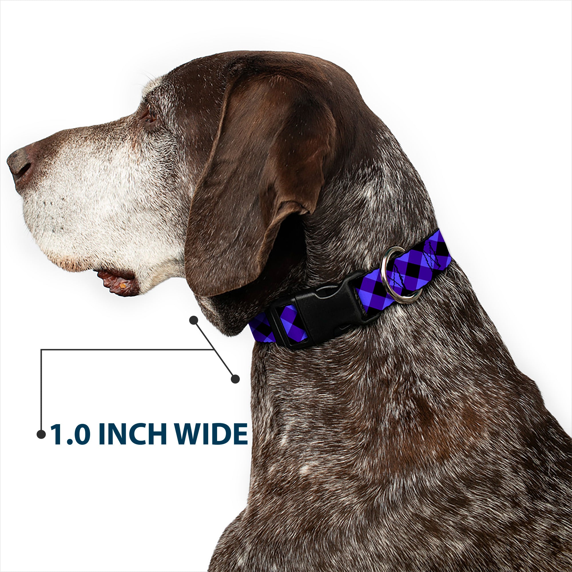 Plastic Clip Collar - Diagonal Buffalo Plaid Black/Blue Plastic Clip Collars Buckle-Down
