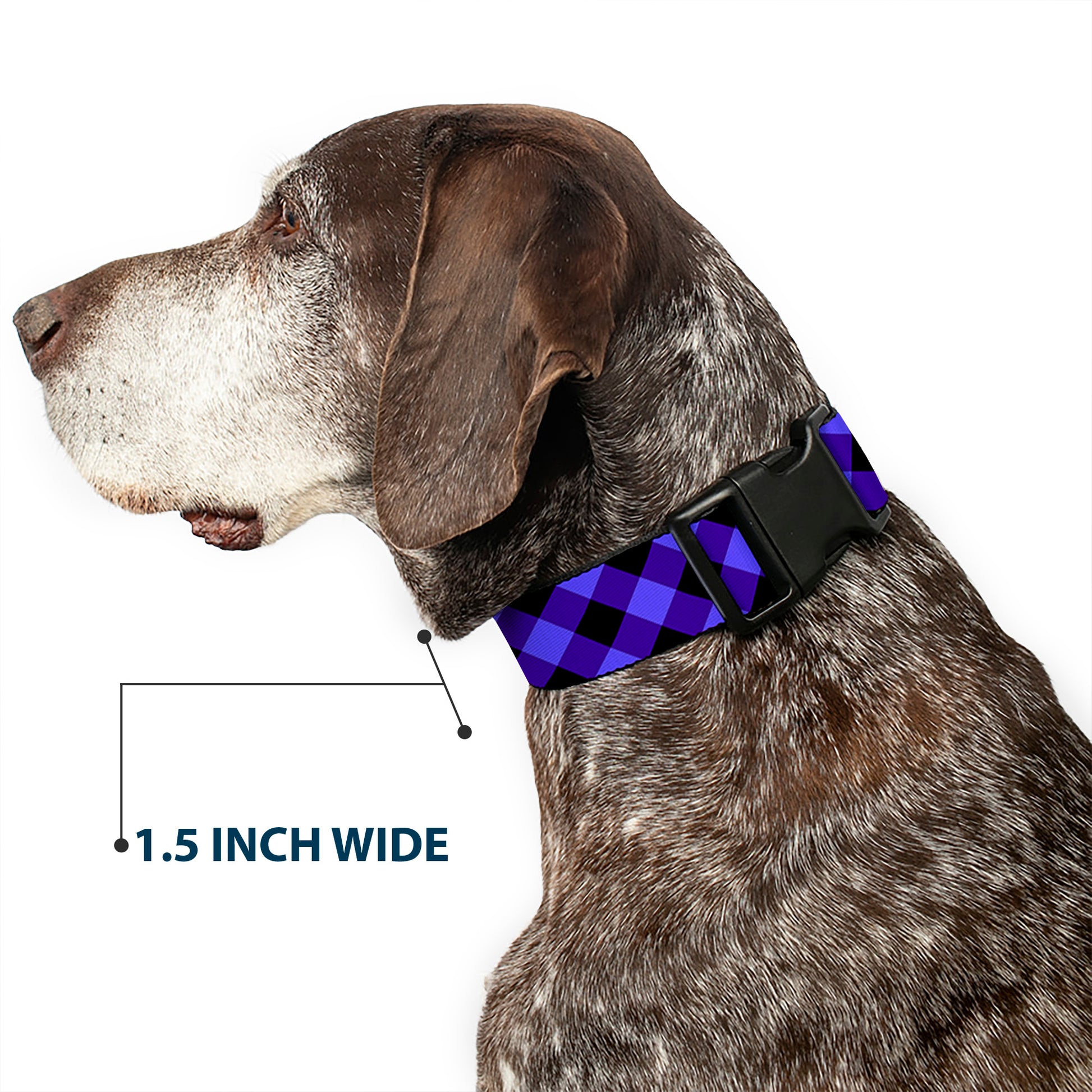 Plastic Clip Collar - Diagonal Buffalo Plaid Black/Blue Plastic Clip Collars Buckle-Down