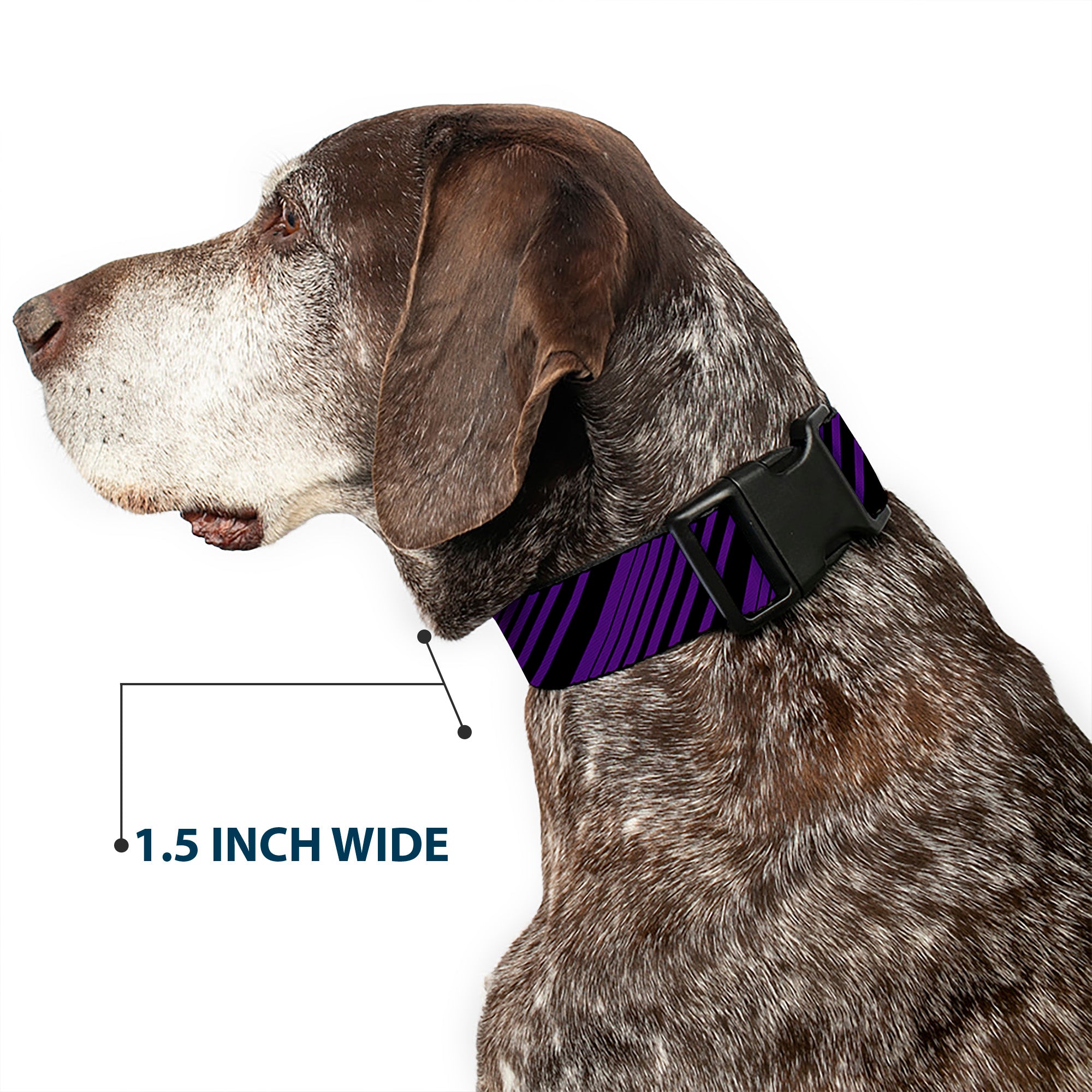 Plastic Clip Collar - Diagonal Stripes Black/Purple Plastic Clip Collars Buckle-Down