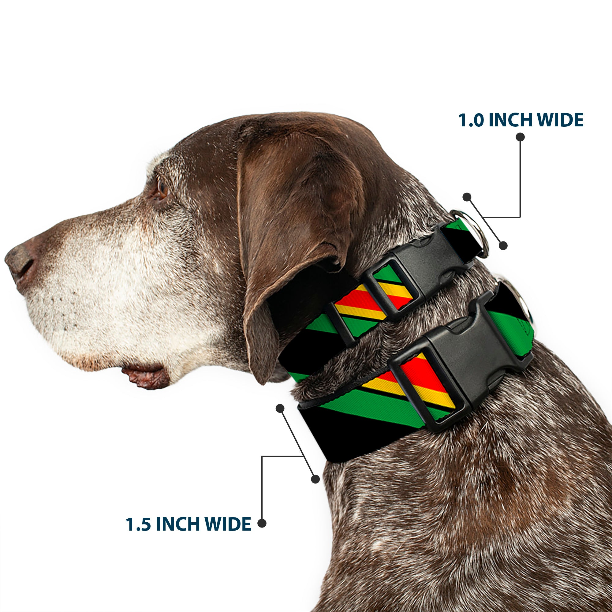 Plastic Clip Collar - Diagonal Stripes Black/Green/Yellow/Red Plastic Clip Collars Buckle-Down
