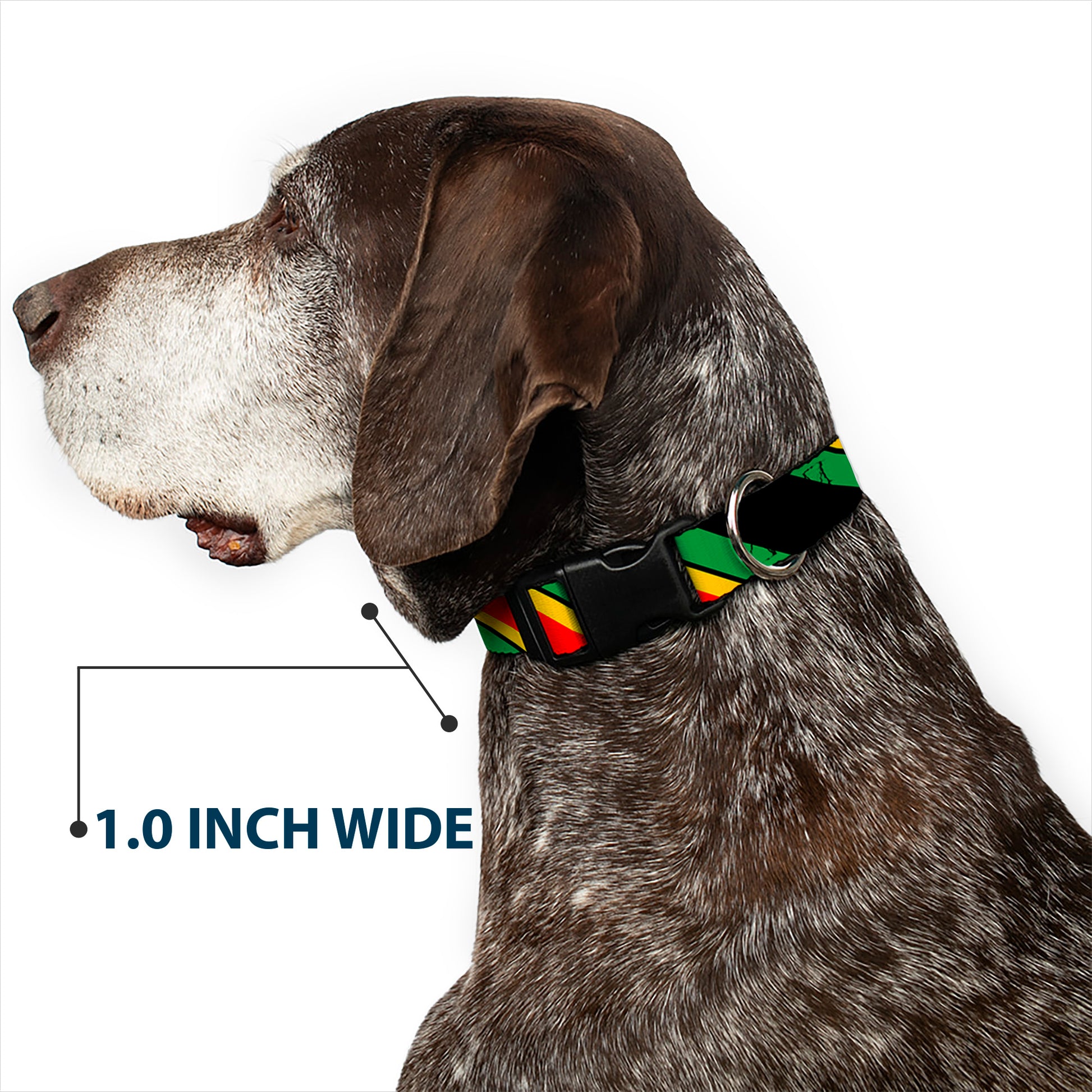 Plastic Clip Collar - Diagonal Stripes Black/Green/Yellow/Red Plastic Clip Collars Buckle-Down