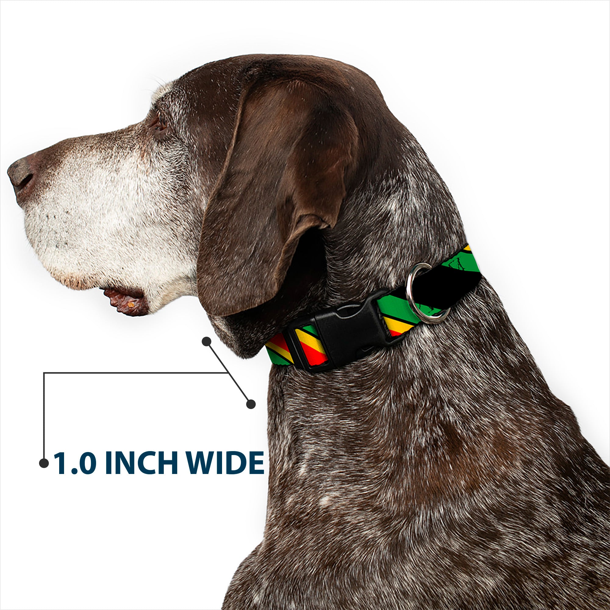 Plastic Clip Collar - Diagonal Stripes Black/Green/Yellow/Red Plastic Clip Collars Buckle-Down
