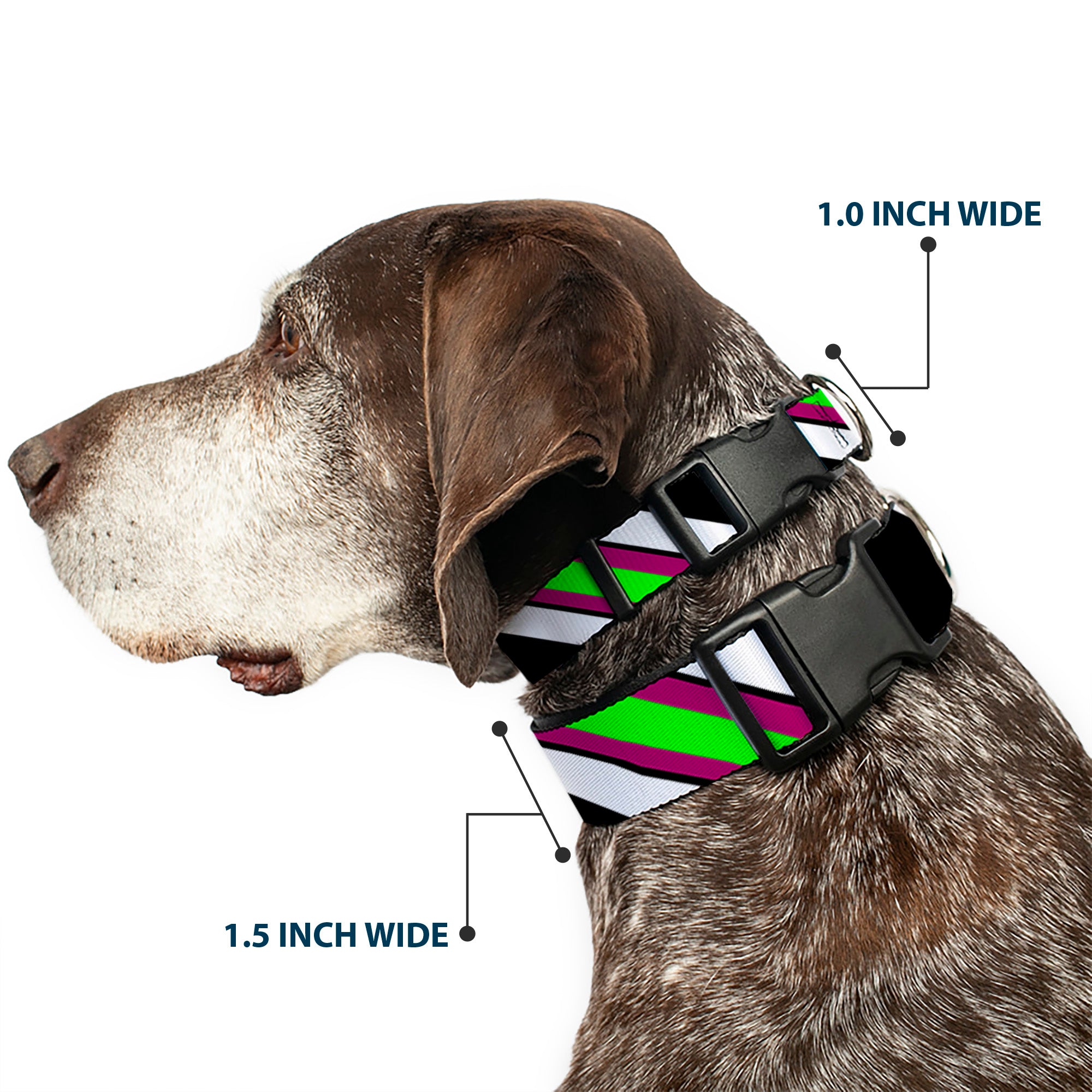 Plastic Clip Collar - Diagonal Stripes Black/White/Pink/Green Plastic Clip Collars Buckle-Down
