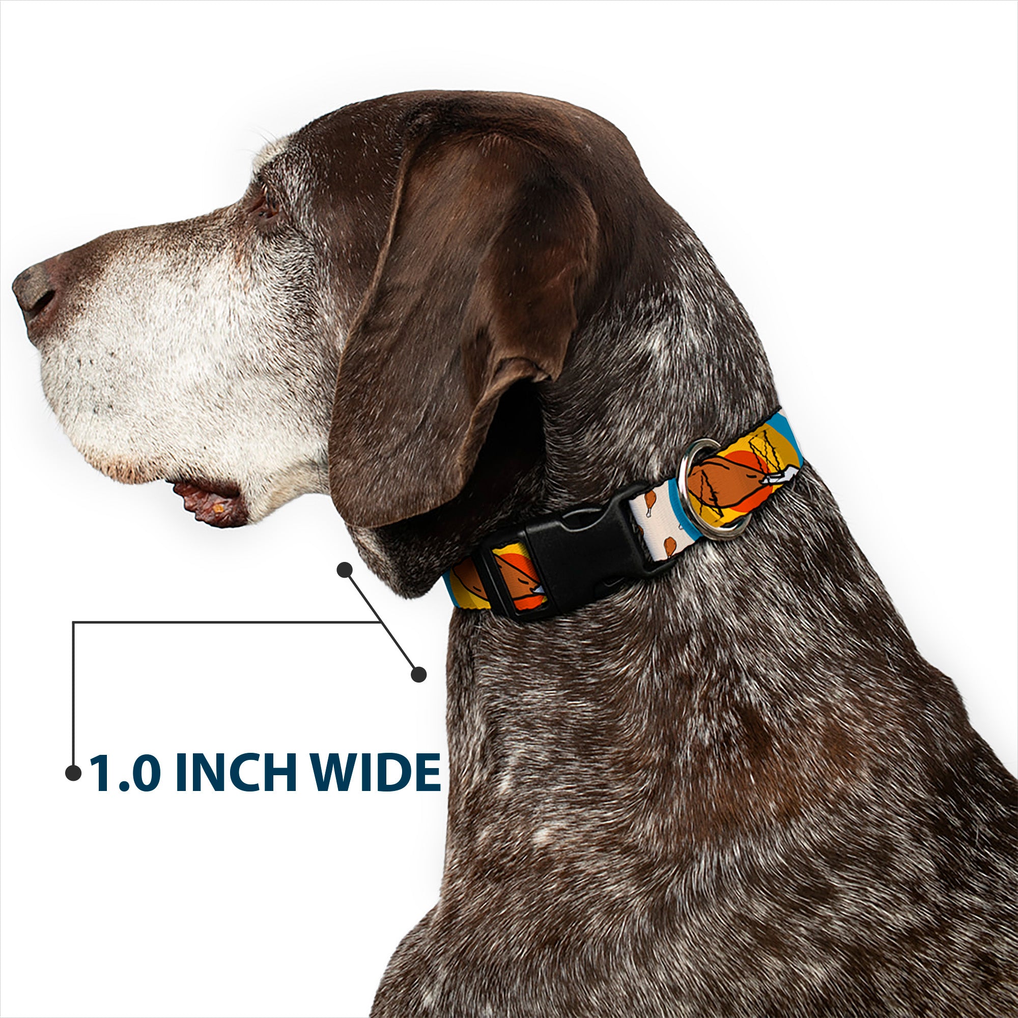 Plastic Clip Collar - Drumstick Target Plastic Clip Collars Buckle-Down
