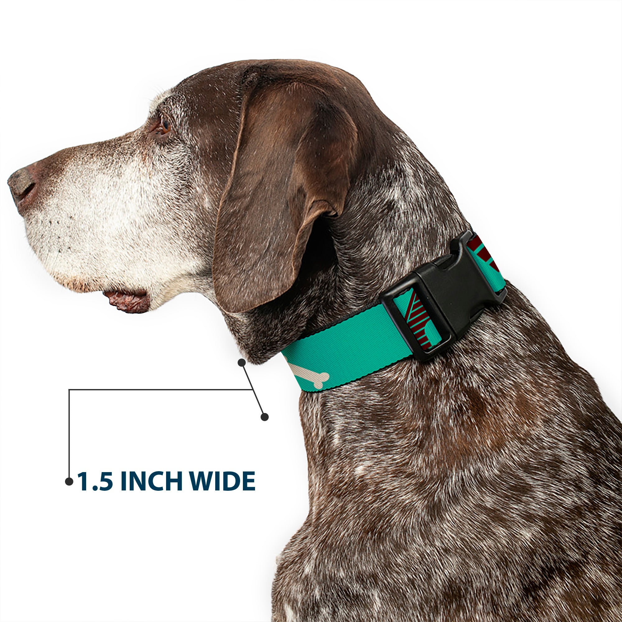 Plastic Clip Collar - Dog House & Bone Turquoise/Brown Plastic Clip Collars Buckle-Down
