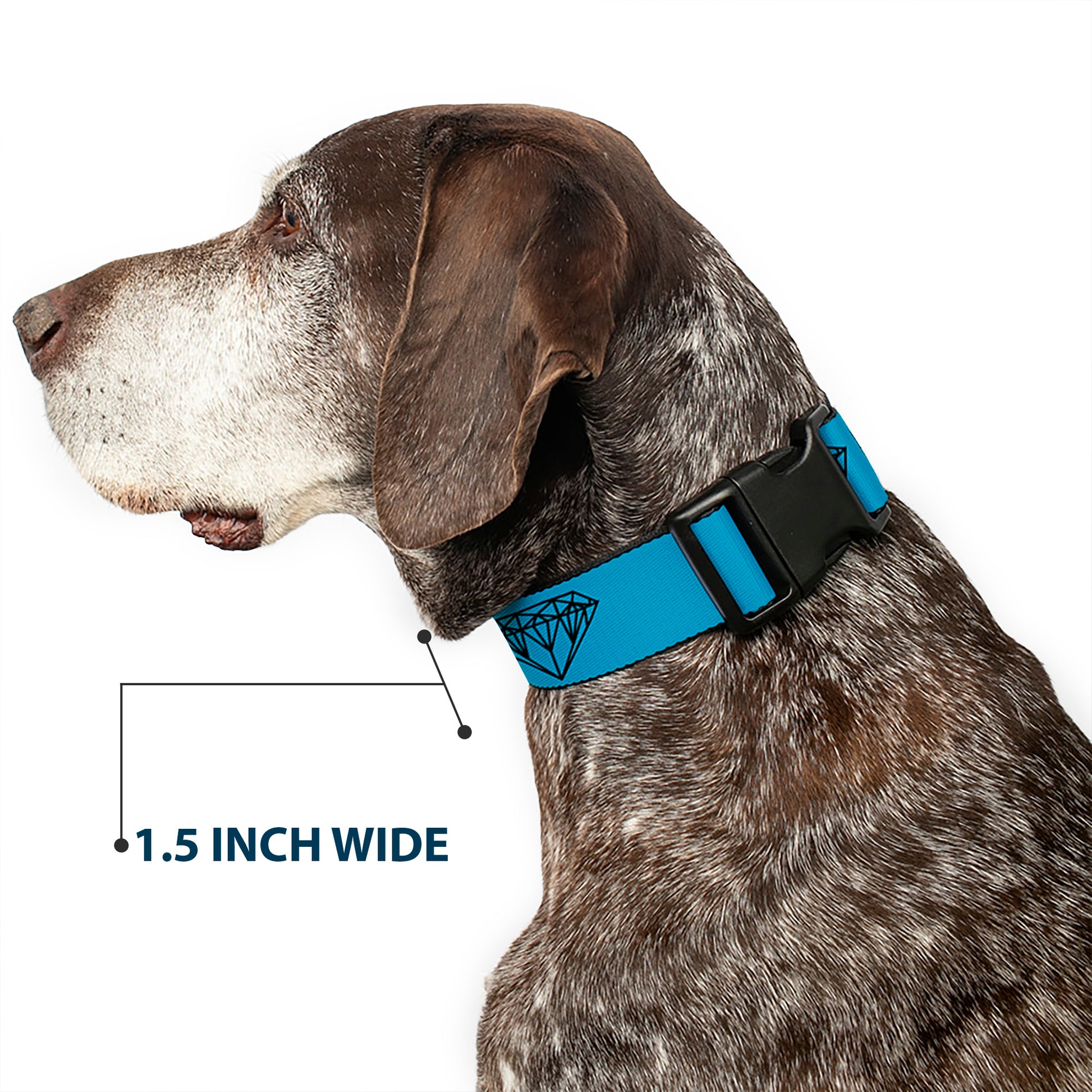 Plastic Clip Collar - Diamond Sketch Turquoise/Black Plastic Clip Collars Buckle-Down