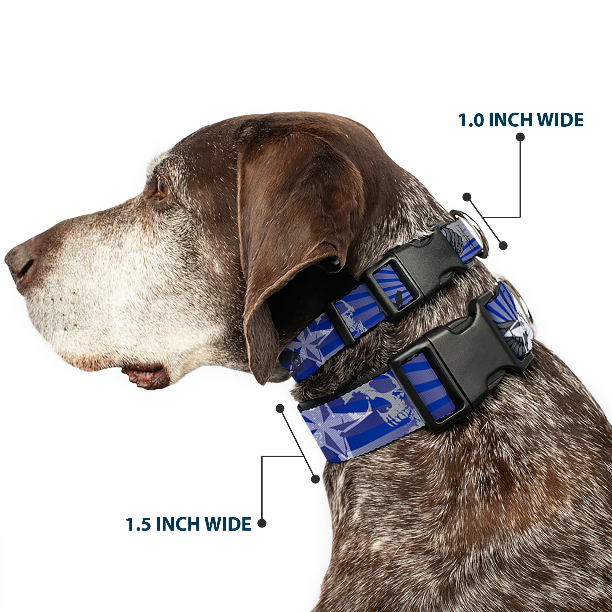 Plastic Clip Collar - Die Hard Skulls & Stars1 Blue/Grays Plastic Clip Collars Buckle-Down