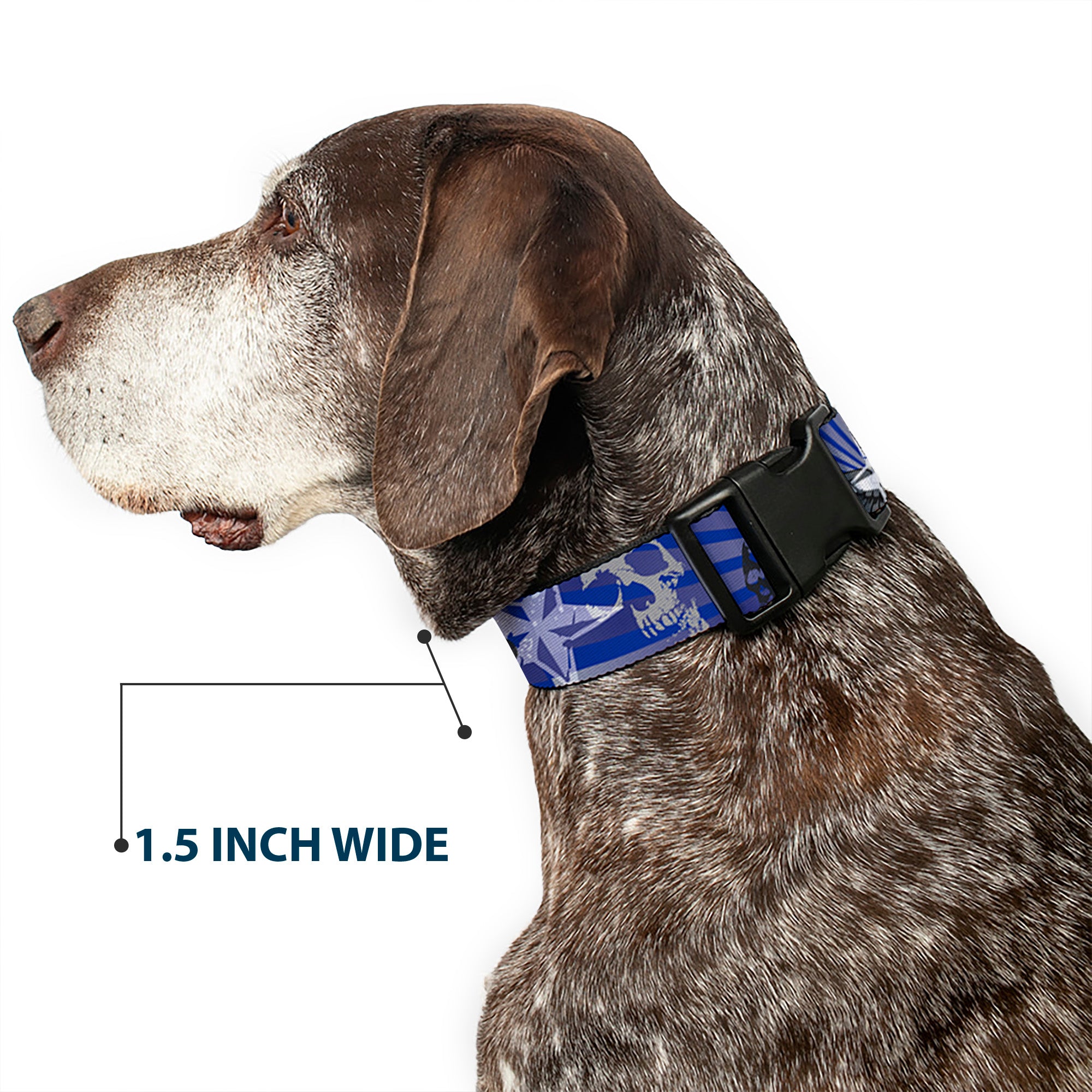 Plastic Clip Collar - Die Hard Skulls & Stars1 Blue/Grays Plastic Clip Collars Buckle-Down