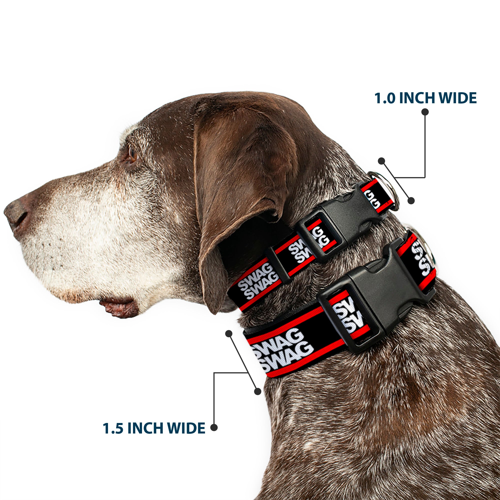 Plastic Clip Collar - Double SWAG Black/White/Red Stripe Plastic Clip Collars Buckle-Down
