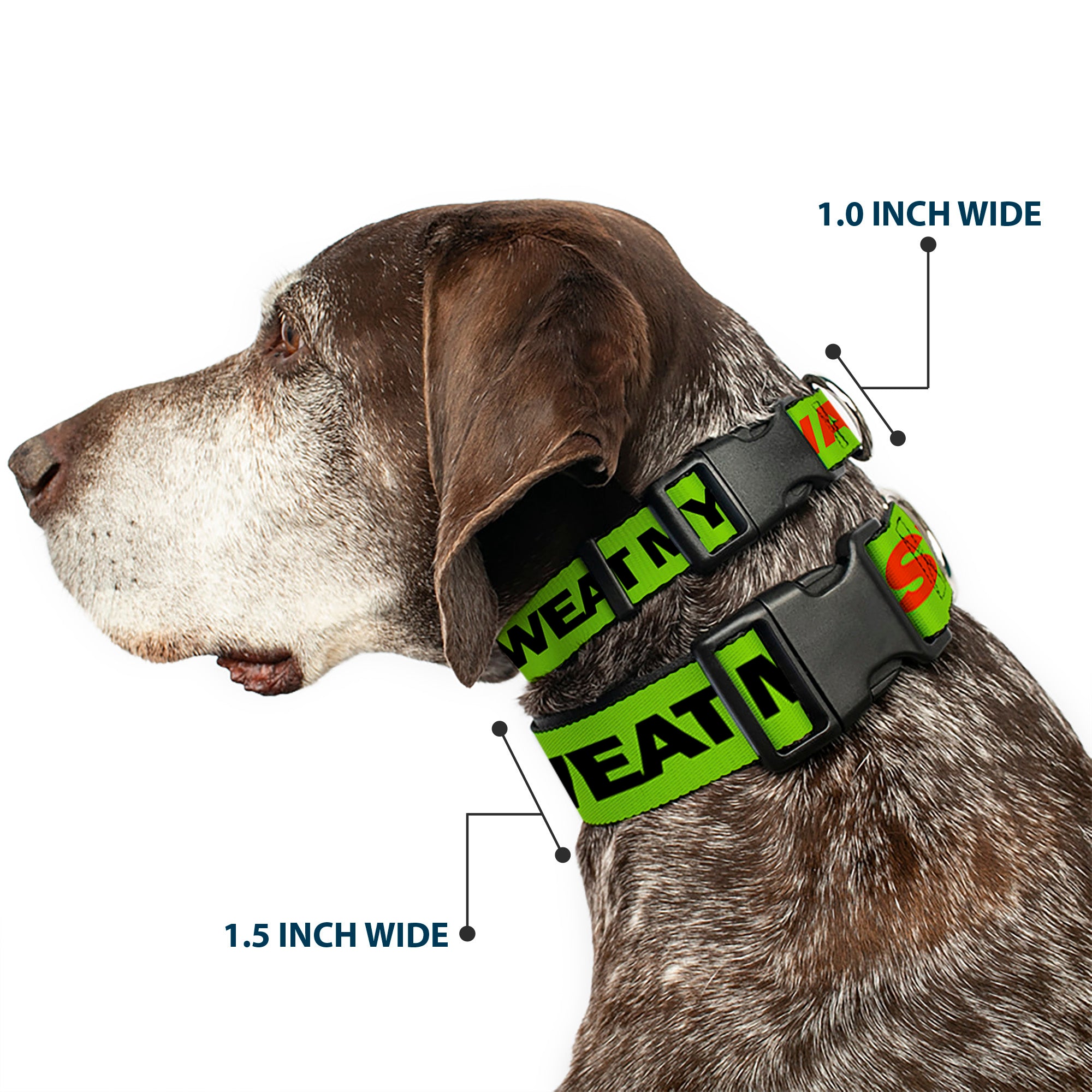 Plastic Clip Collar - DON'T SWEAT MY SWAG Neon Green/Black/Red Plastic Clip Collars Buckle-Down