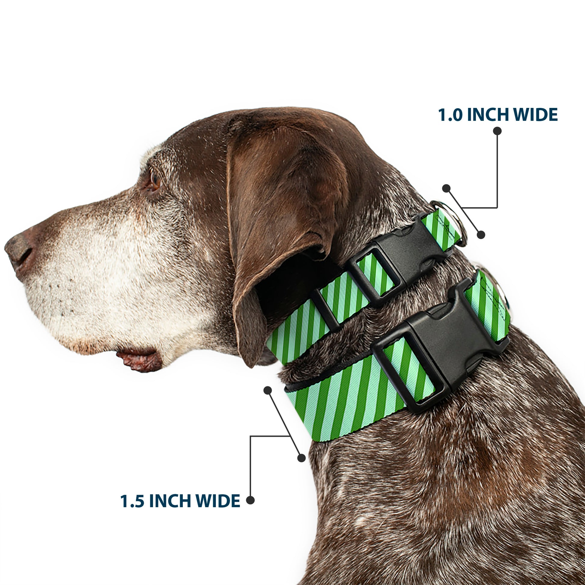 Plastic Clip Collar - Diagonal Stripes Pastel Greens Plastic Clip Collars Buckle-Down