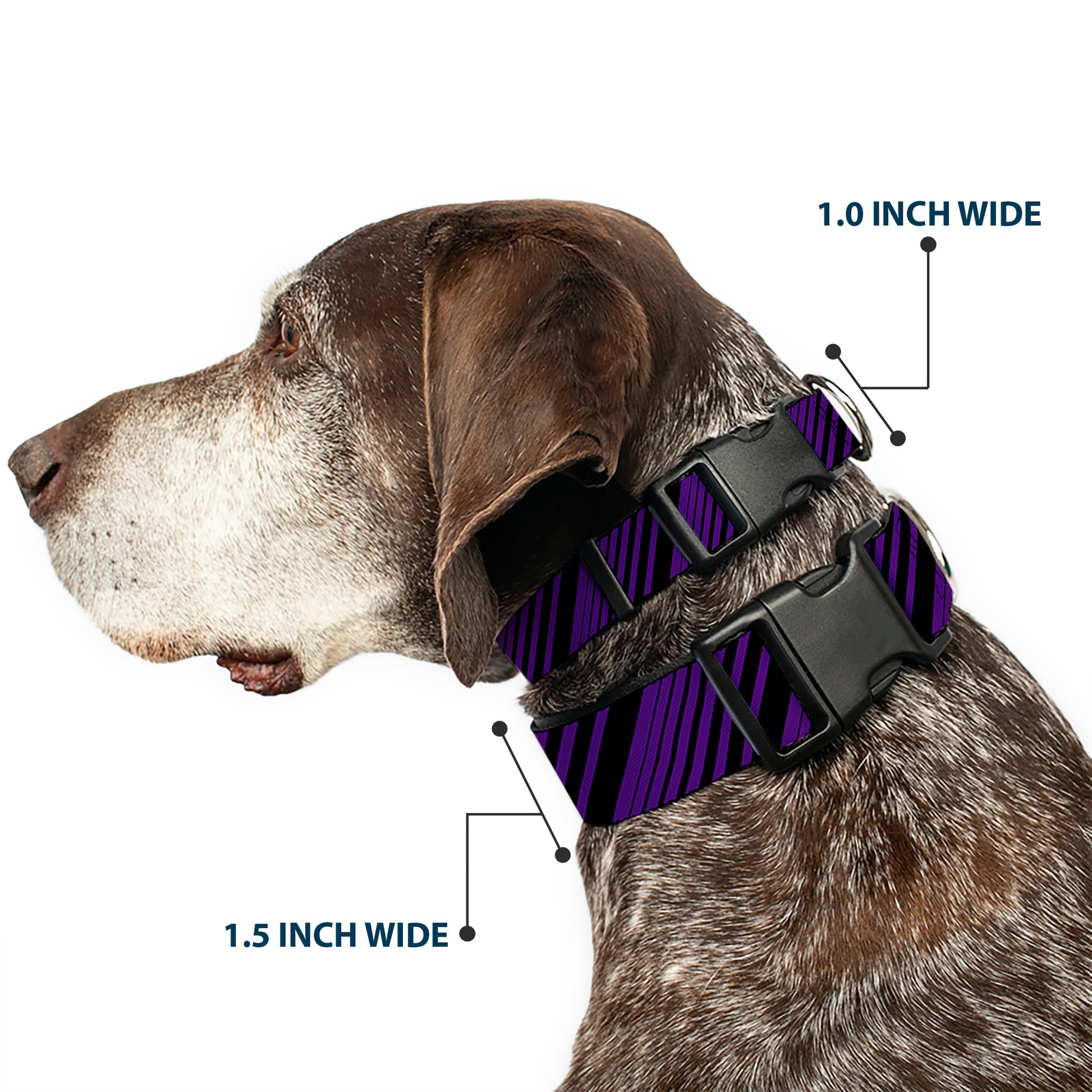 Plastic Clip Collar - Diagonal Stripes Purples Plastic Clip Collars Buckle-Down