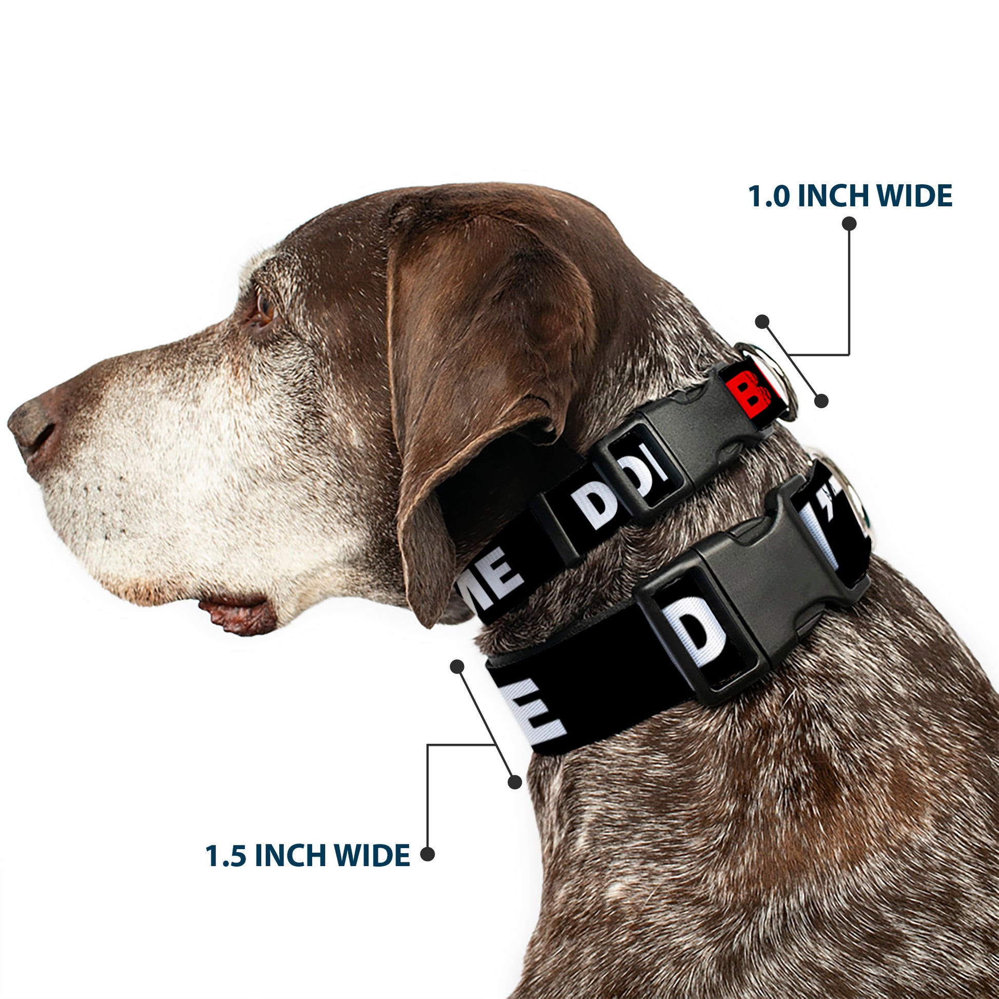 Plastic Clip Collar - DON'T BRO ME IF YOU DON'T KNOW ME Black/White/Red Plastic Clip Collars Buckle-Down