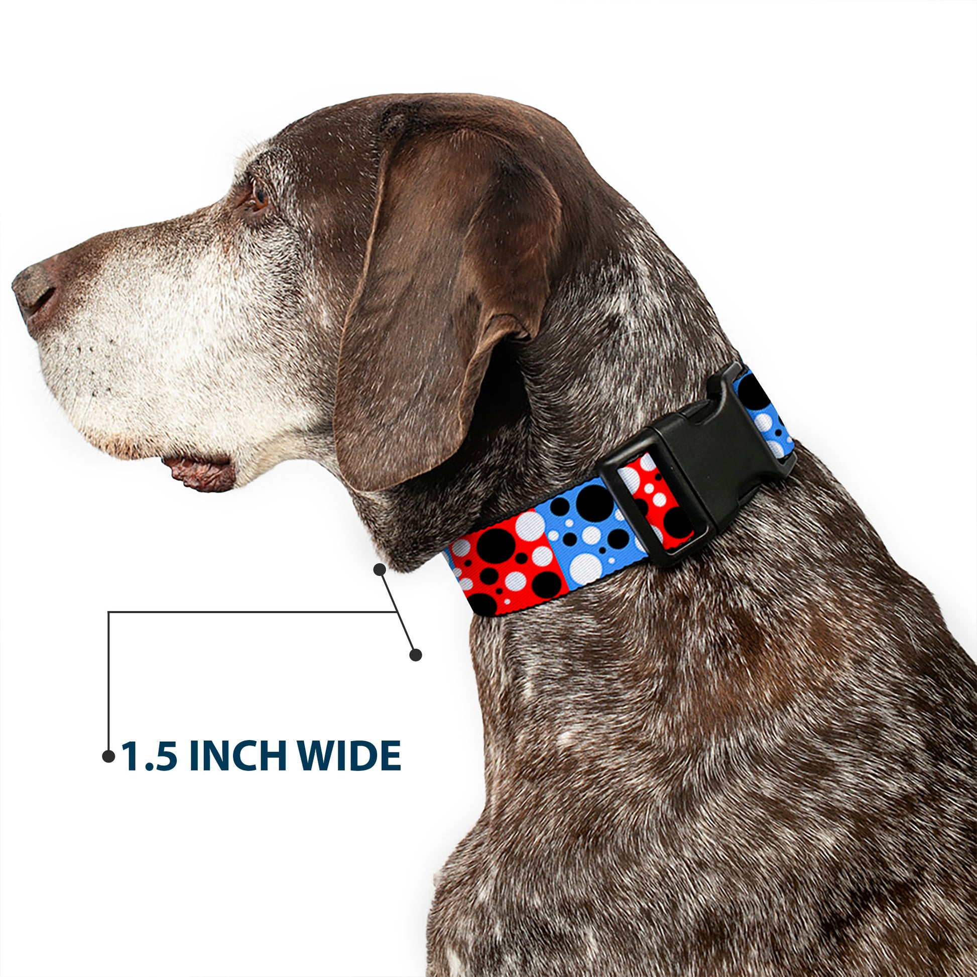 Plastic Clip Collar - Dot Blocks Blue/Red/Black/White Plastic Clip Collars Buckle-Down