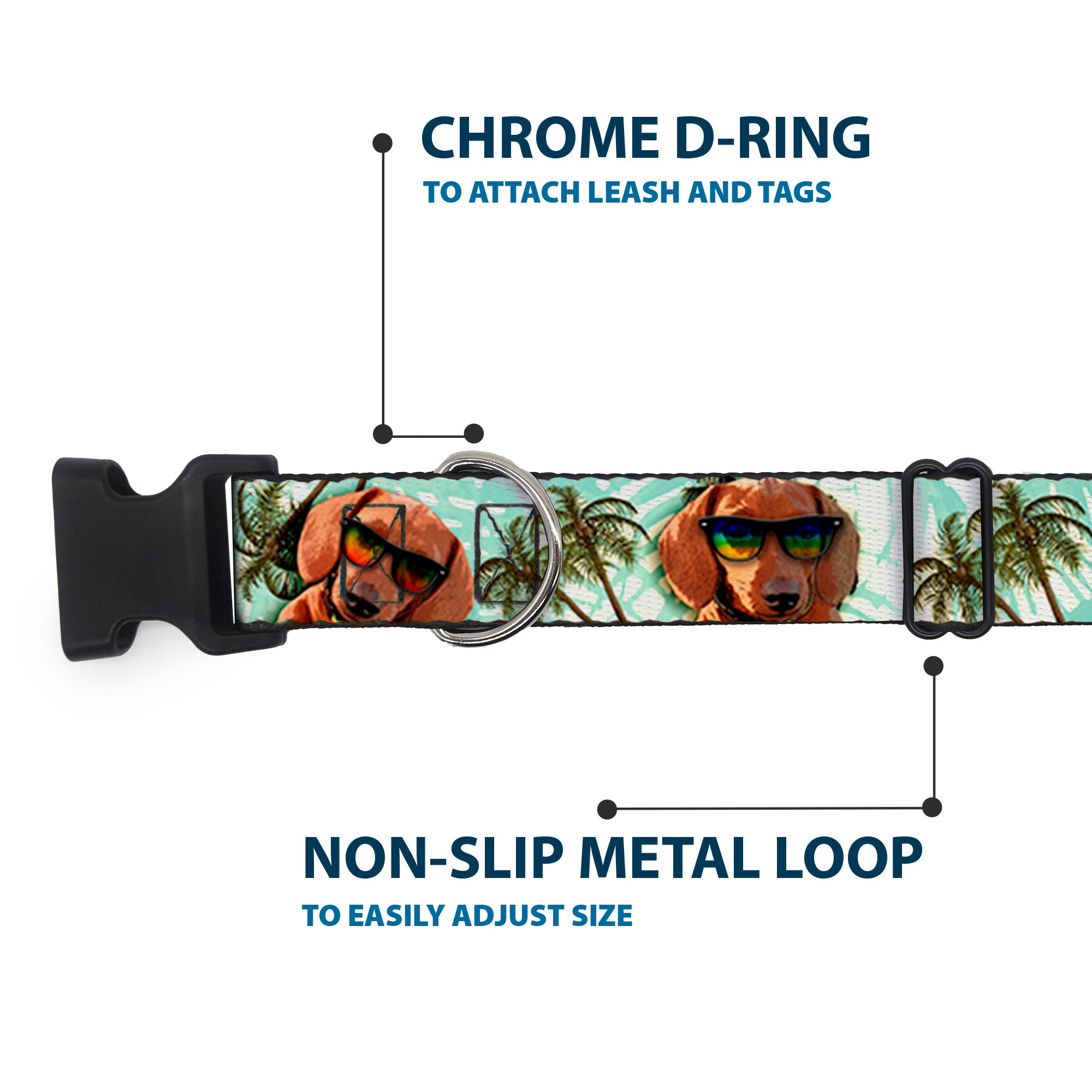 Plastic Clip Collar - Dachshund in Shades w/Palm Trees Plastic Clip Collars Buckle-Down