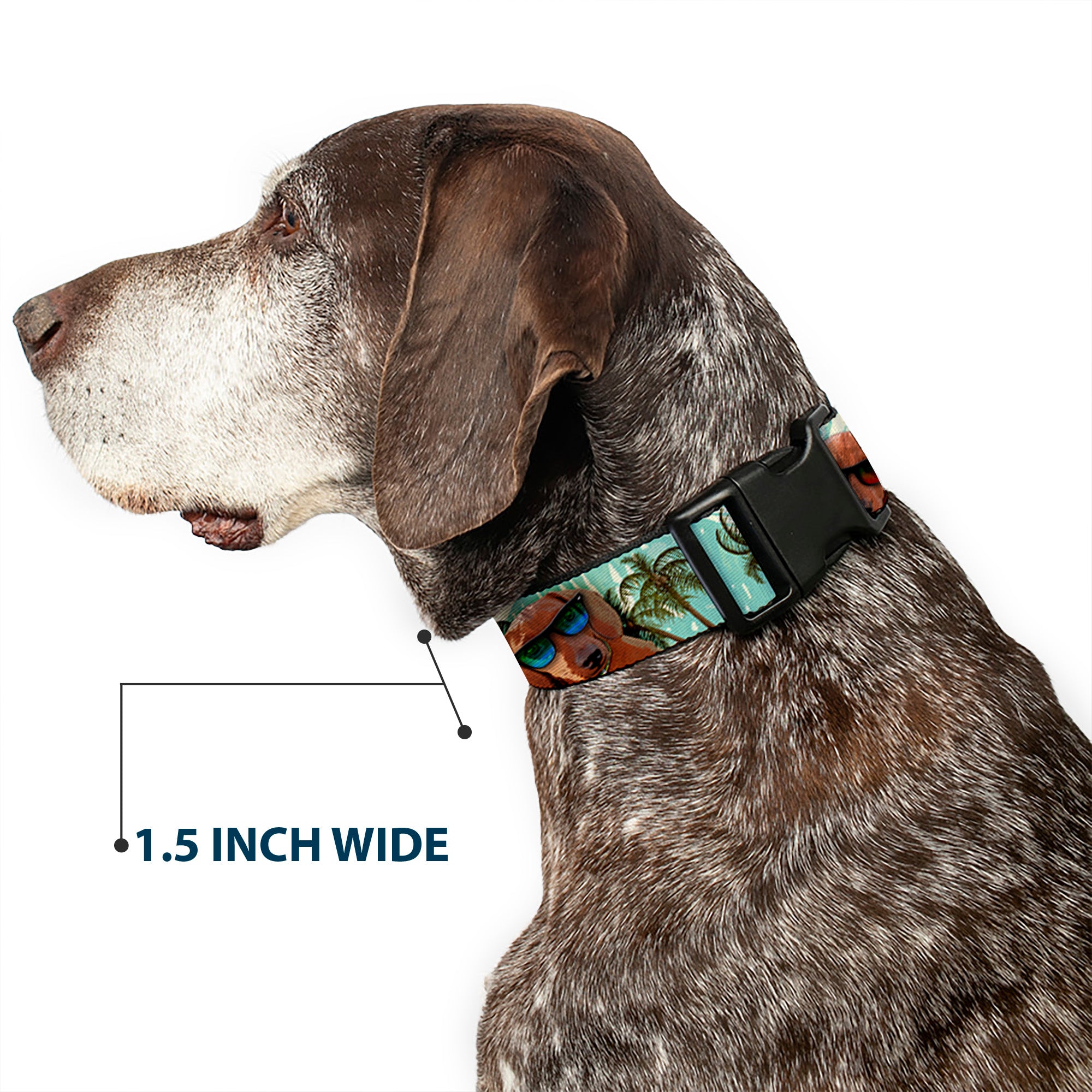 Plastic Clip Collar - Dachshund in Shades w/Palm Trees Plastic Clip Collars Buckle-Down