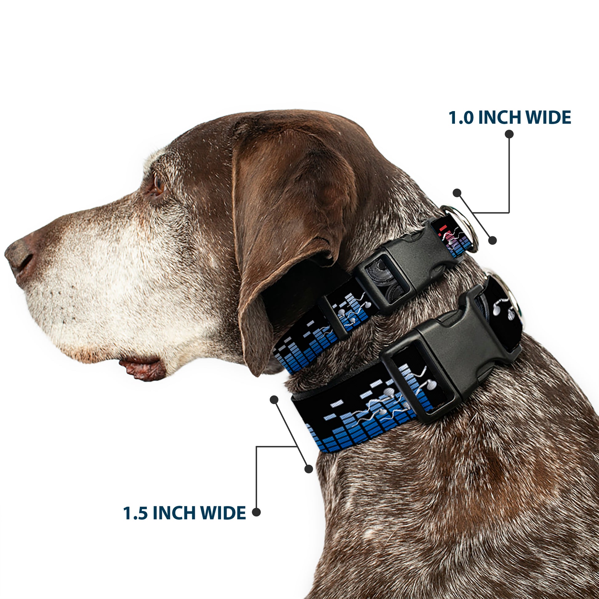 Plastic Clip Collar - Equalizer Plastic Clip Collars Buckle-Down
