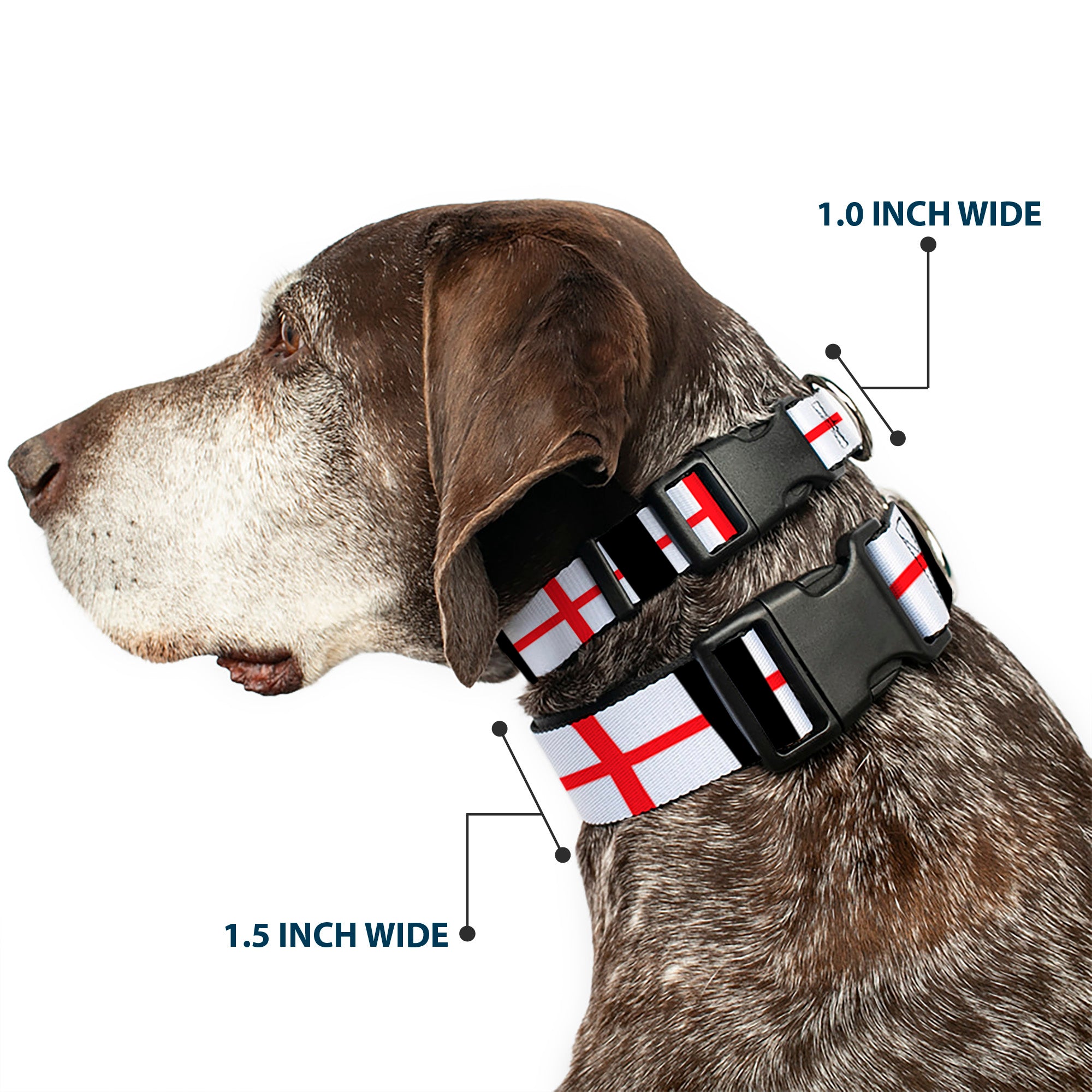 Plastic Clip Collar - England Flags Plastic Clip Collars Buckle-Down