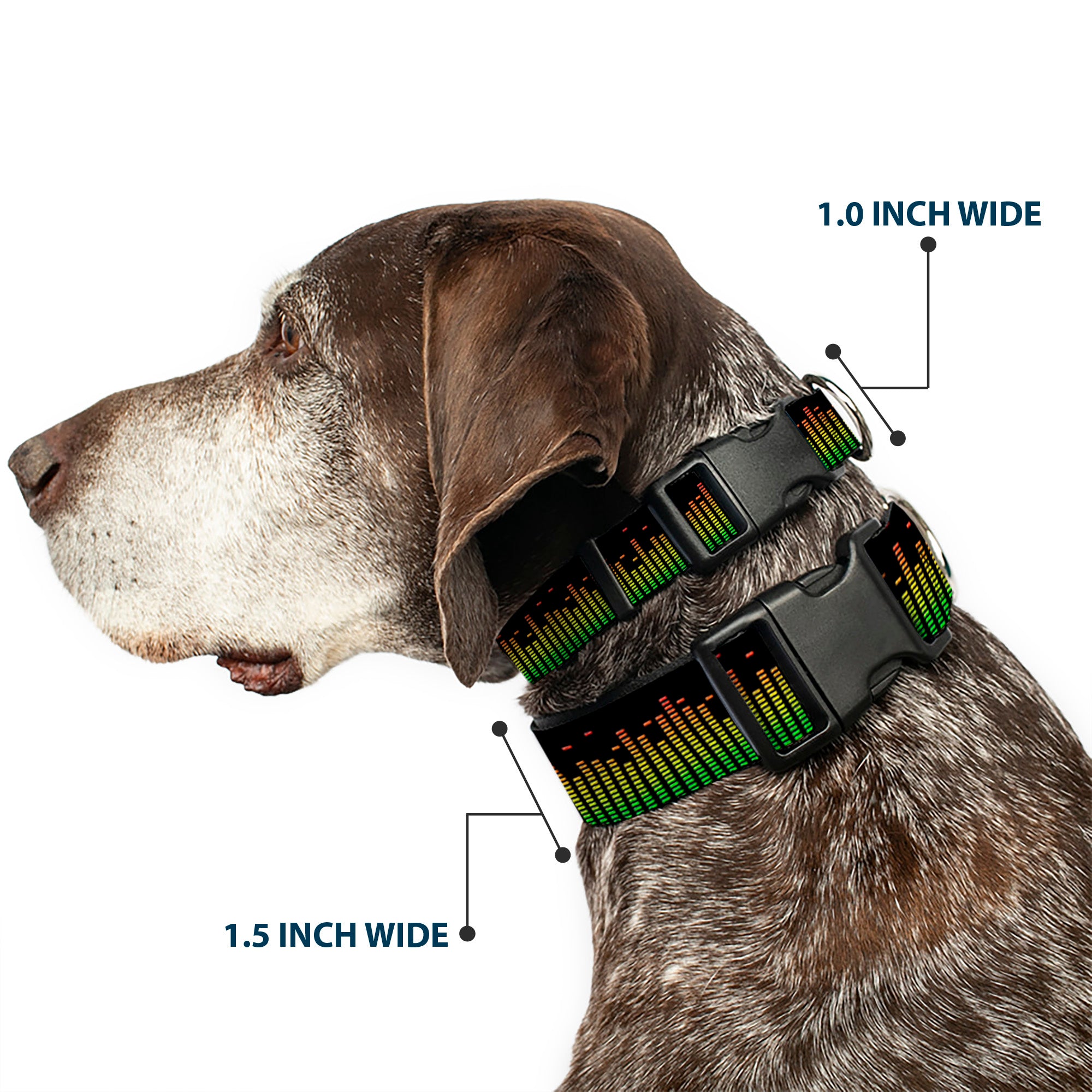 Plastic Clip Collar - DC Equalizer Plastic Clip Collars Buckle-Down