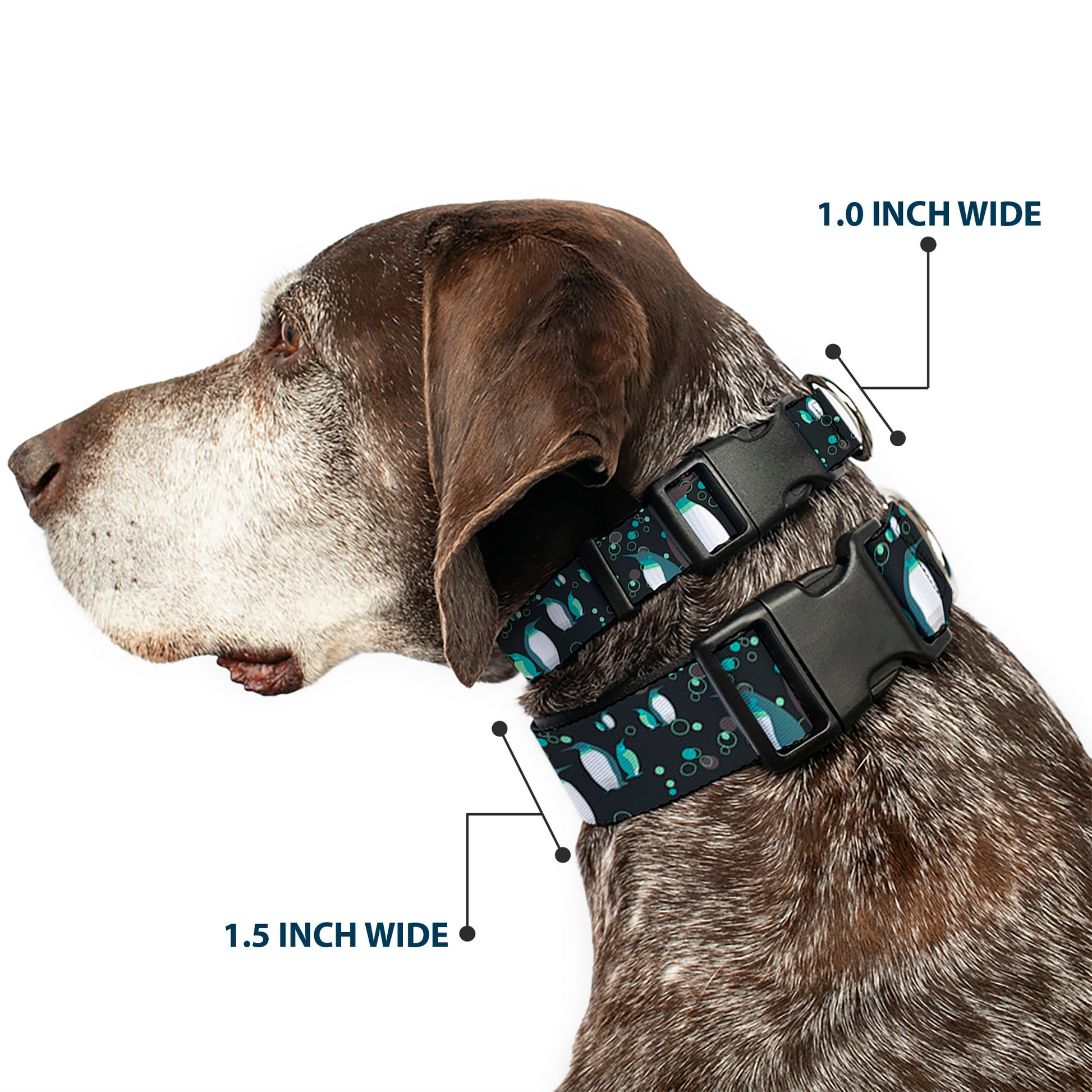 Plastic Clip Collar - Emperor Penguins w/Bubbles Black/Gray/Turqs Plastic Clip Collars Buckle-Down