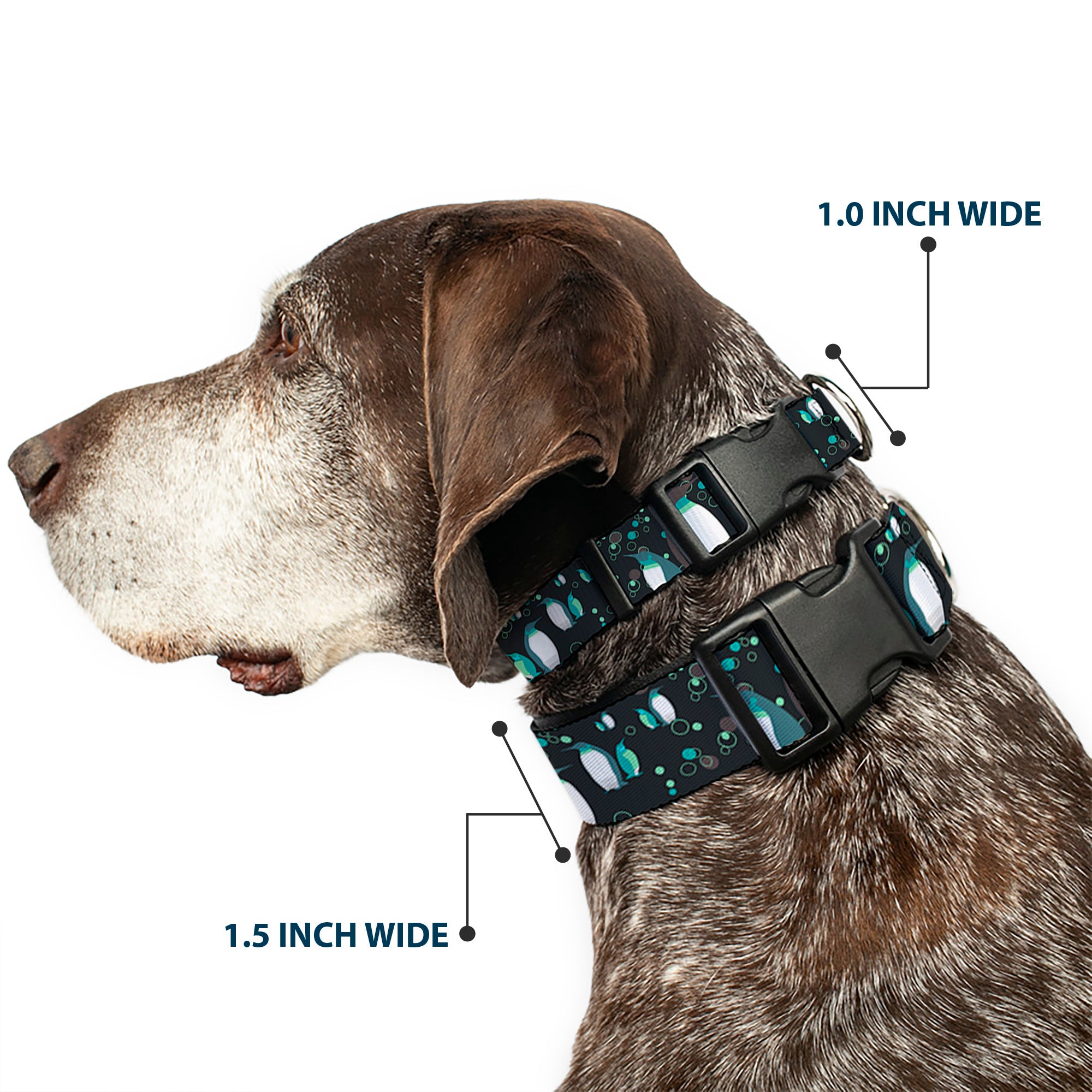 Plastic Clip Collar - Emperor Penguins w/Bubbles Black/Gray/Turqs Plastic Clip Collars Buckle-Down