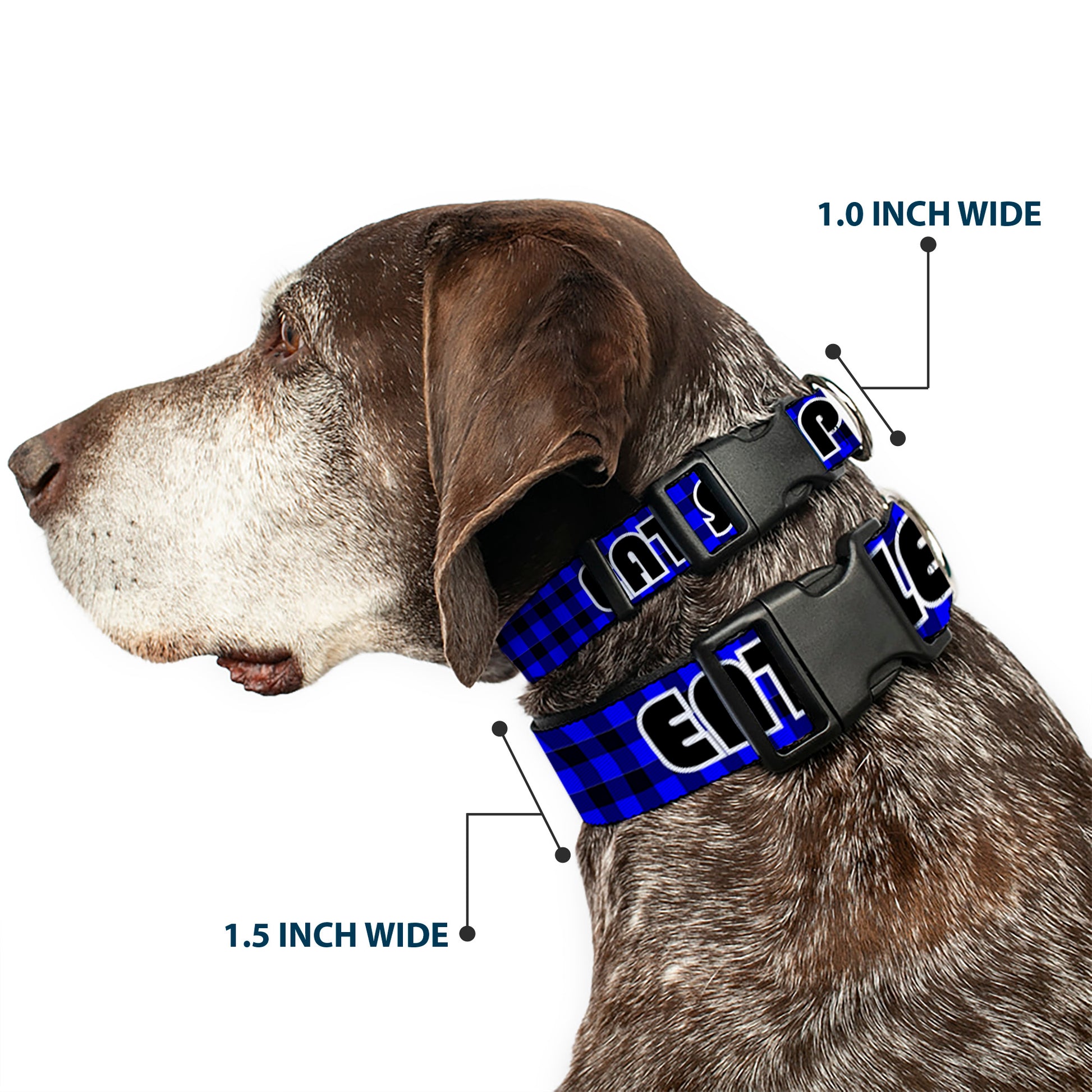 Plastic Clip Collar - EAT SLEEP SKATE Buffalo Plaid Blue Plastic Clip Collars Buckle-Down