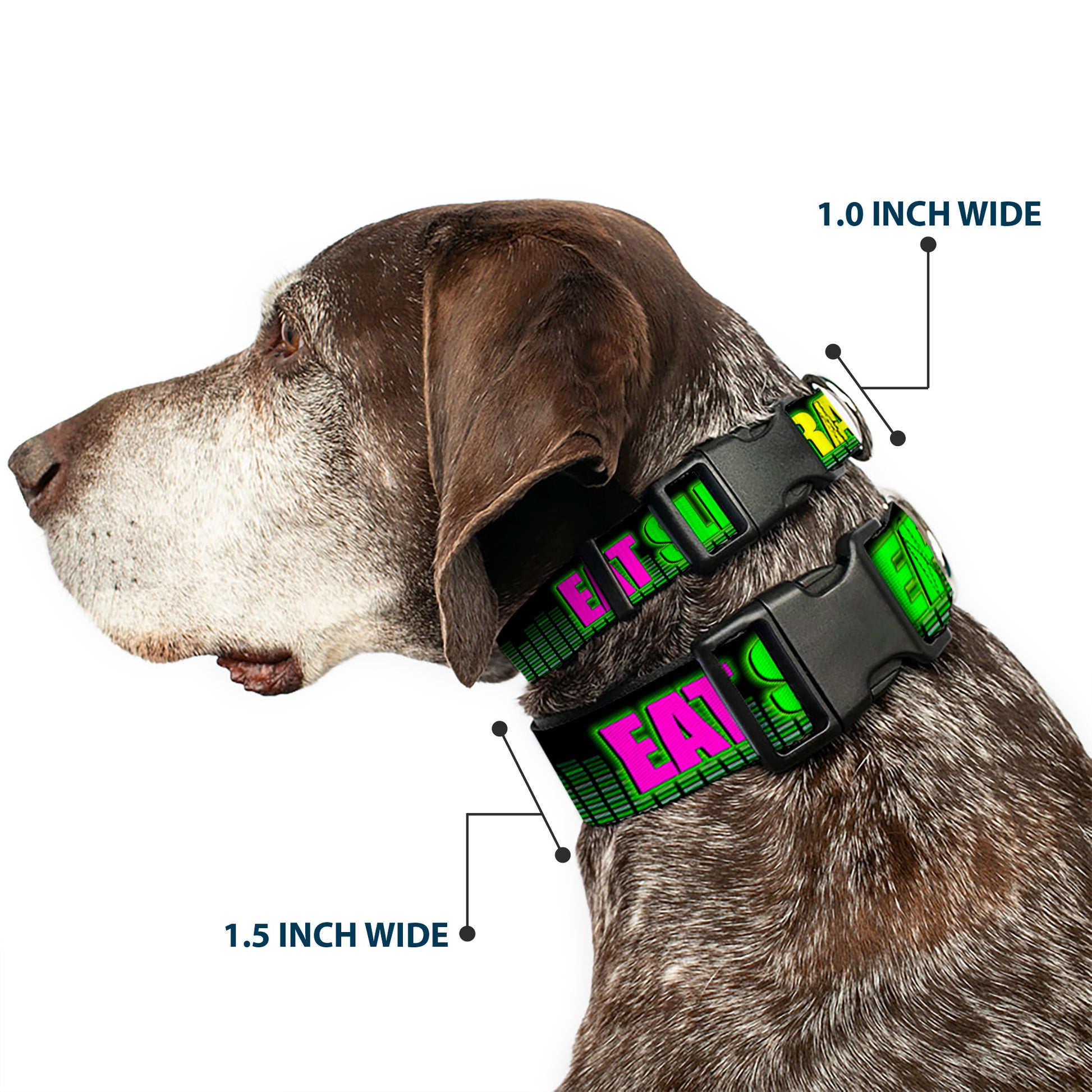 Buckle-Down Plastic Buckle Dog Collar - EAT SLEEP RAVE REPEAT Black/Multi Neon Plastic Clip Collars Buckle-Down