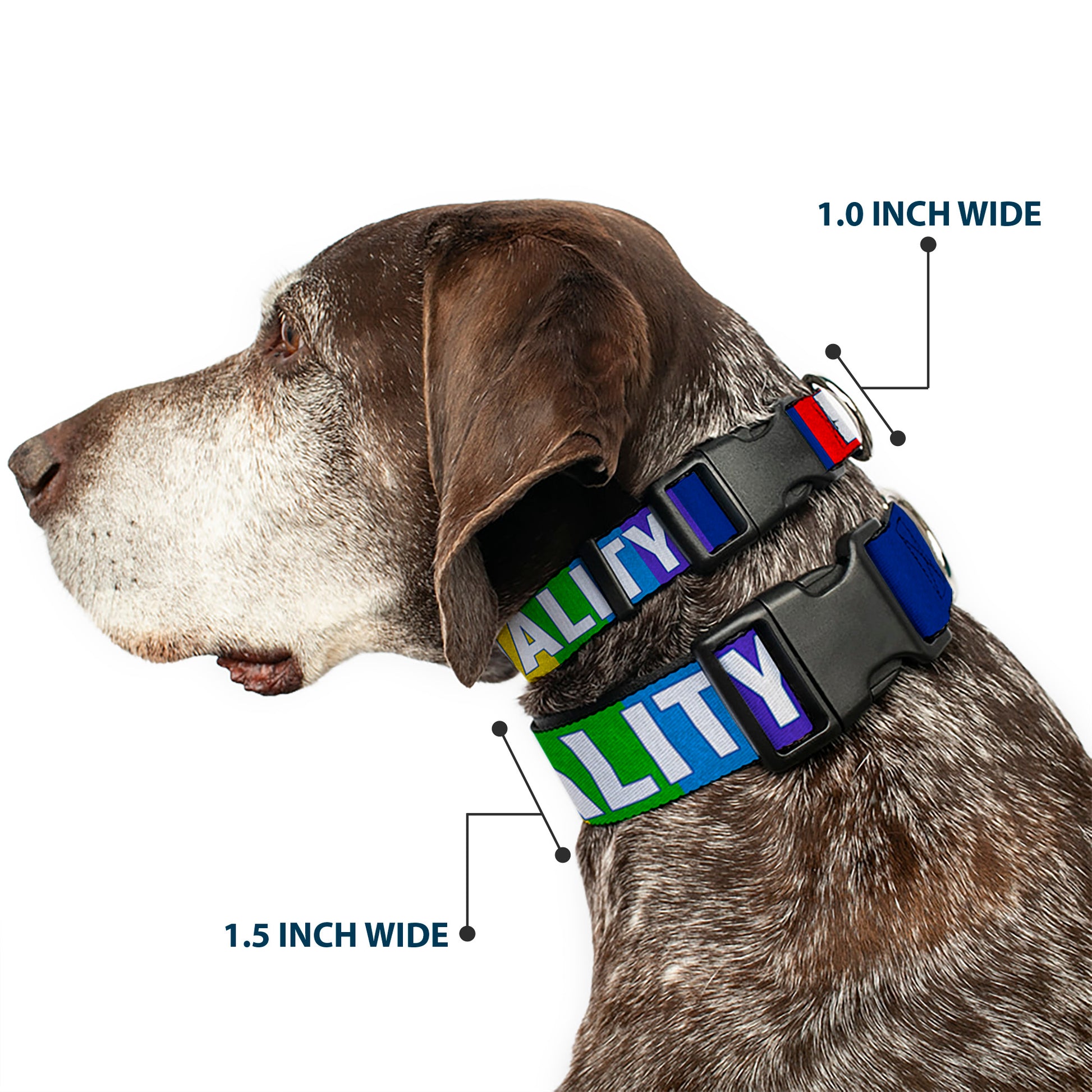 Plastic Clip Collar - EQUALITY Blocks Rainbow/Blue/White Plastic Clip Collars Buckle-Down