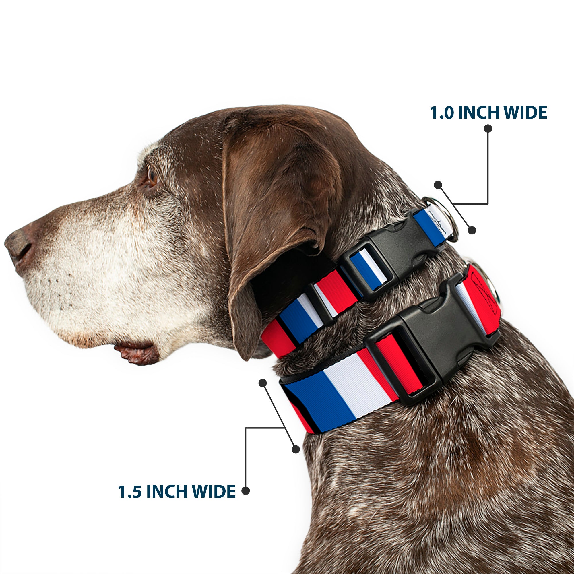Plastic Clip Collar - France Flags Plastic Clip Collars Buckle-Down
