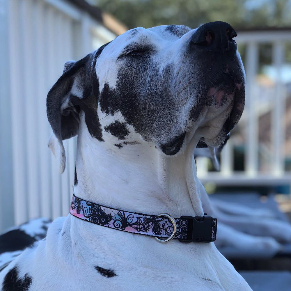 Plastic Clip Collar - Flowers w/Filigree Pink Plastic Clip Collars Buckle-Down