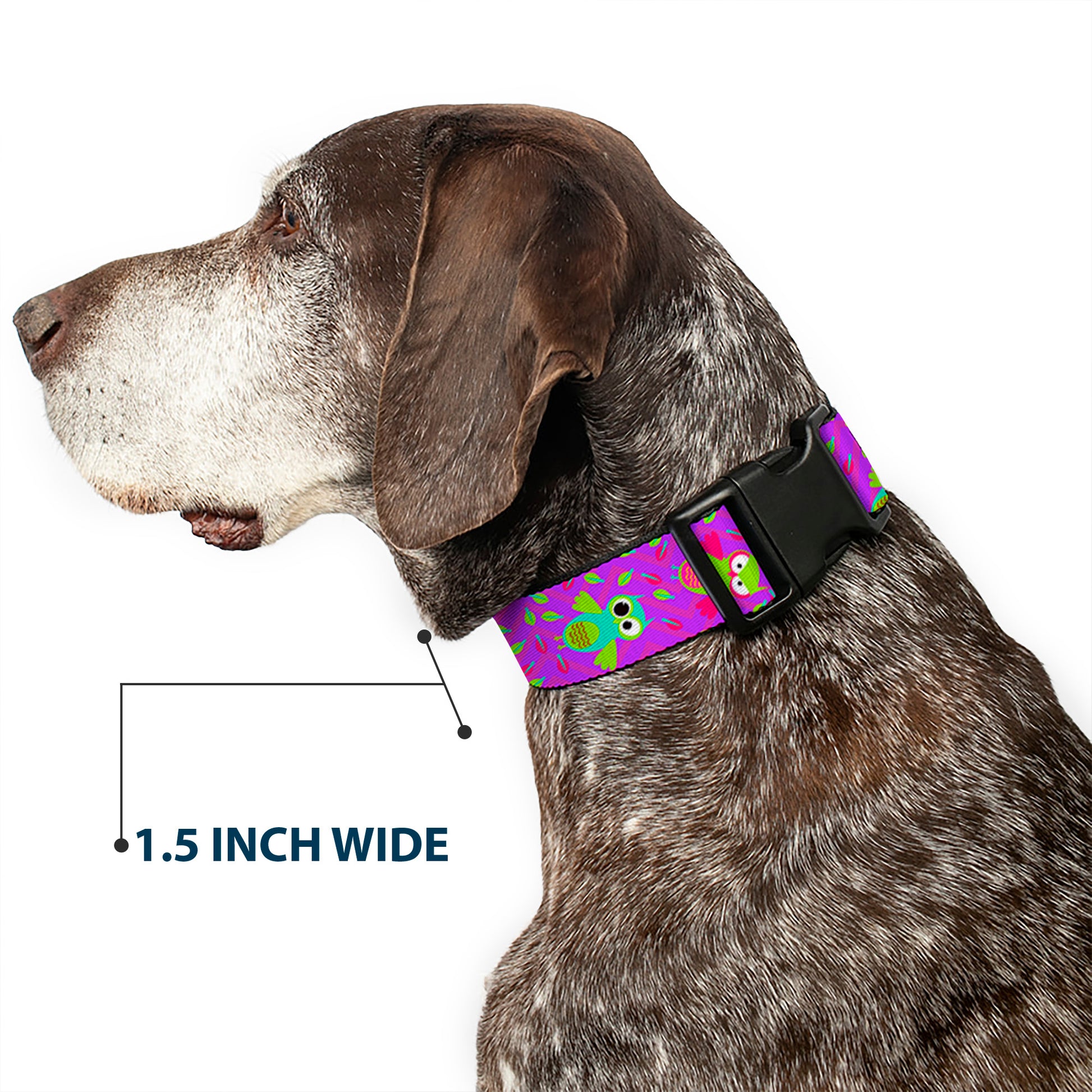 Plastic Clip Collar - Flying Owls w/Leaves Purple/Multi Color Plastic Clip Collars Buckle-Down