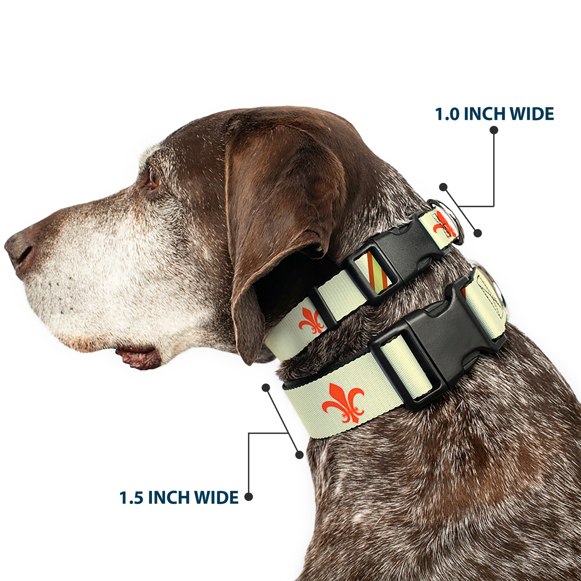 Plastic Clip Collar - Fleur-de-Lis2 Stripes Tan/Orange/Brown/Green Plastic Clip Collars Buckle-Down