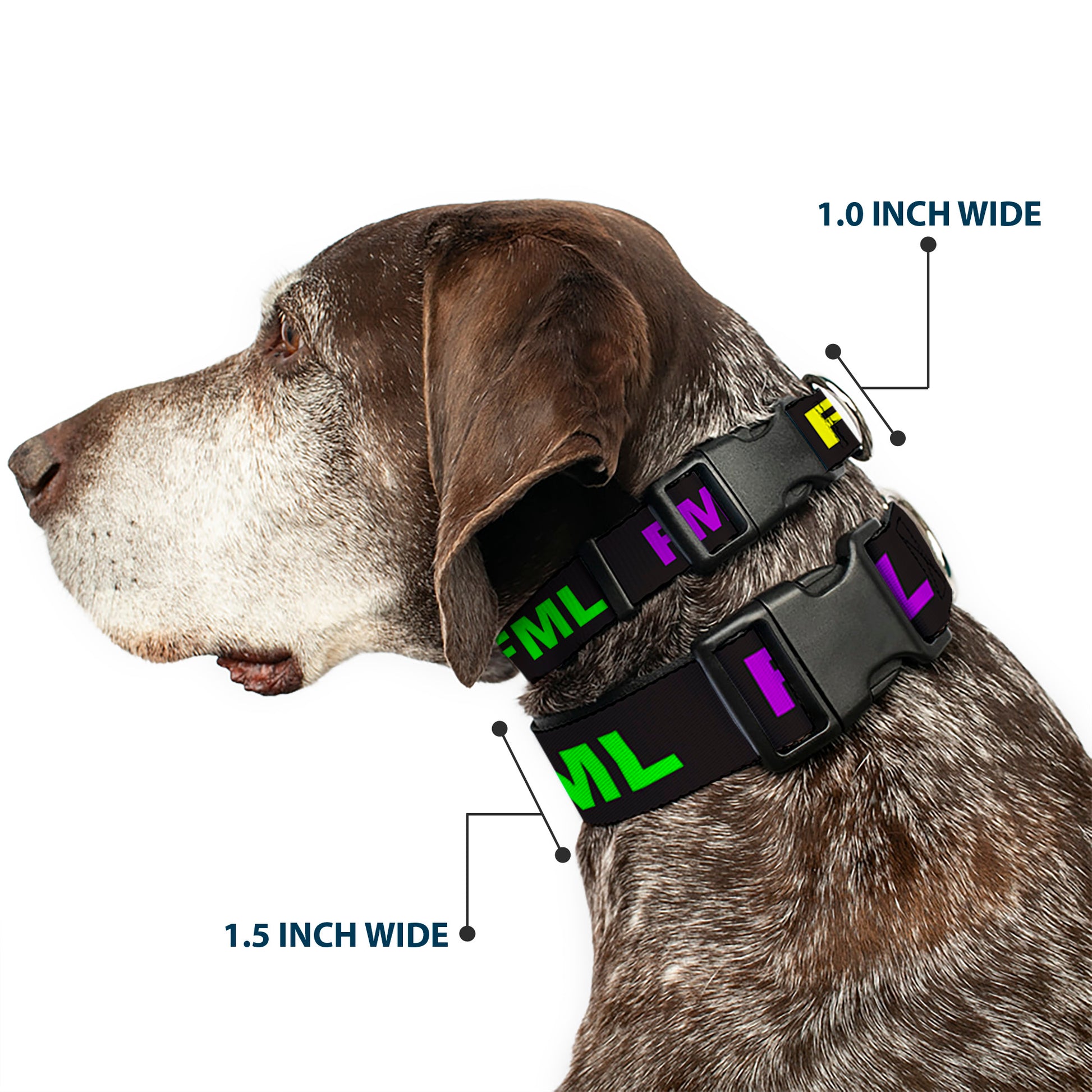 Buckle-Down Plastic Buckle Dog Collar - FML Black/Yellow/Green/Purple Plastic Clip Collars Buckle-Down