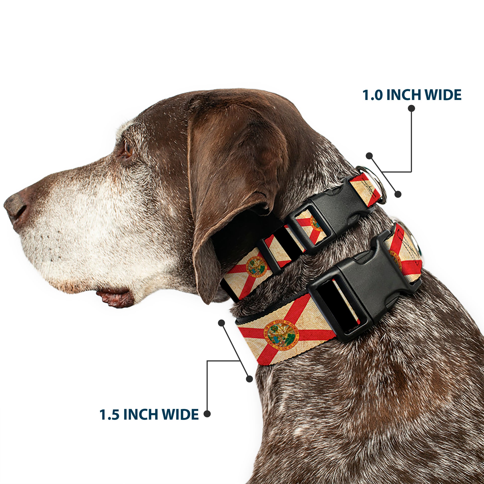 Plastic Clip Collar - Florida Flags/Black Plastic Clip Collars Buckle-Down